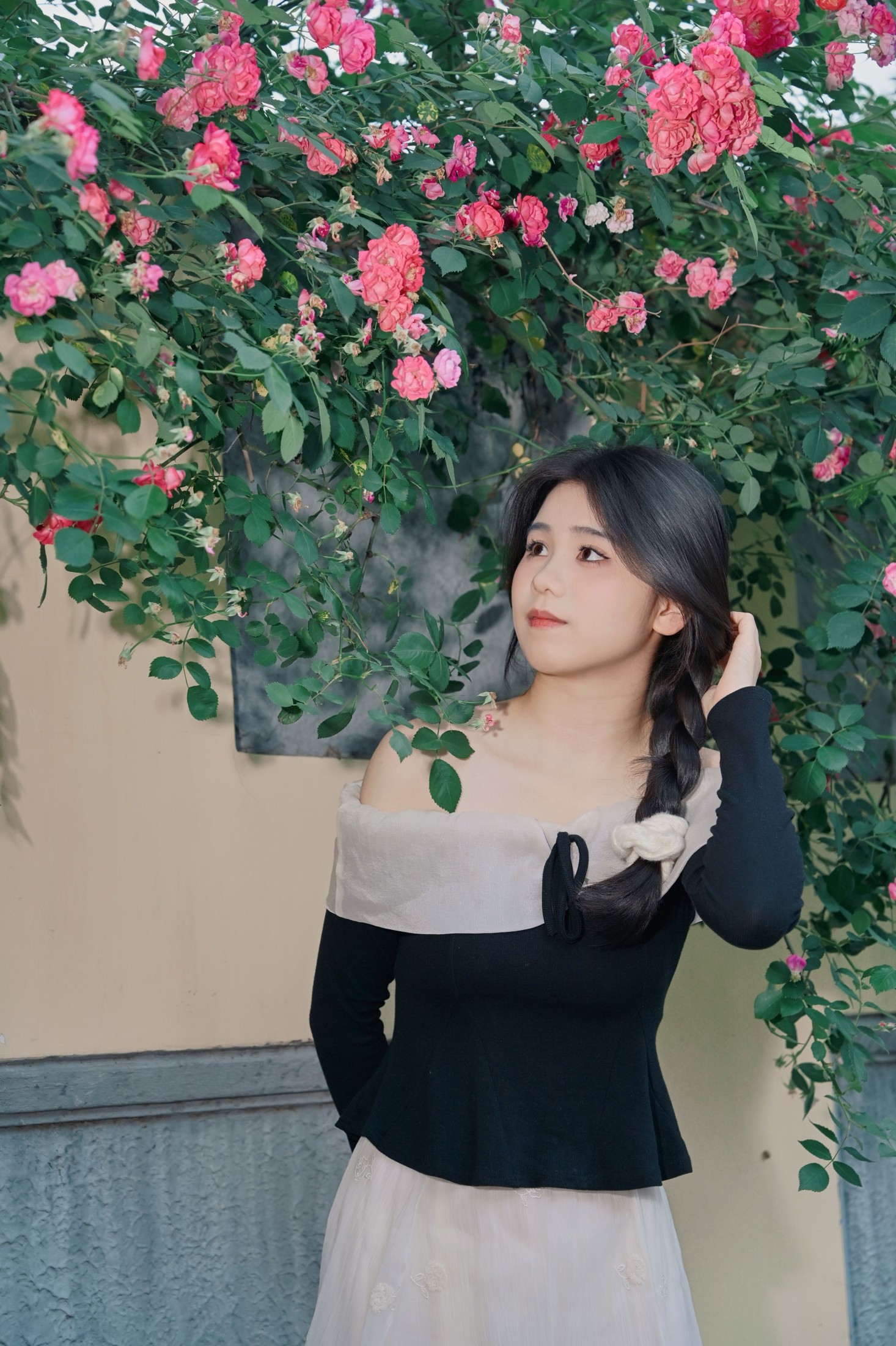《蔷薇花的花语是什么？》[10P] 插图3