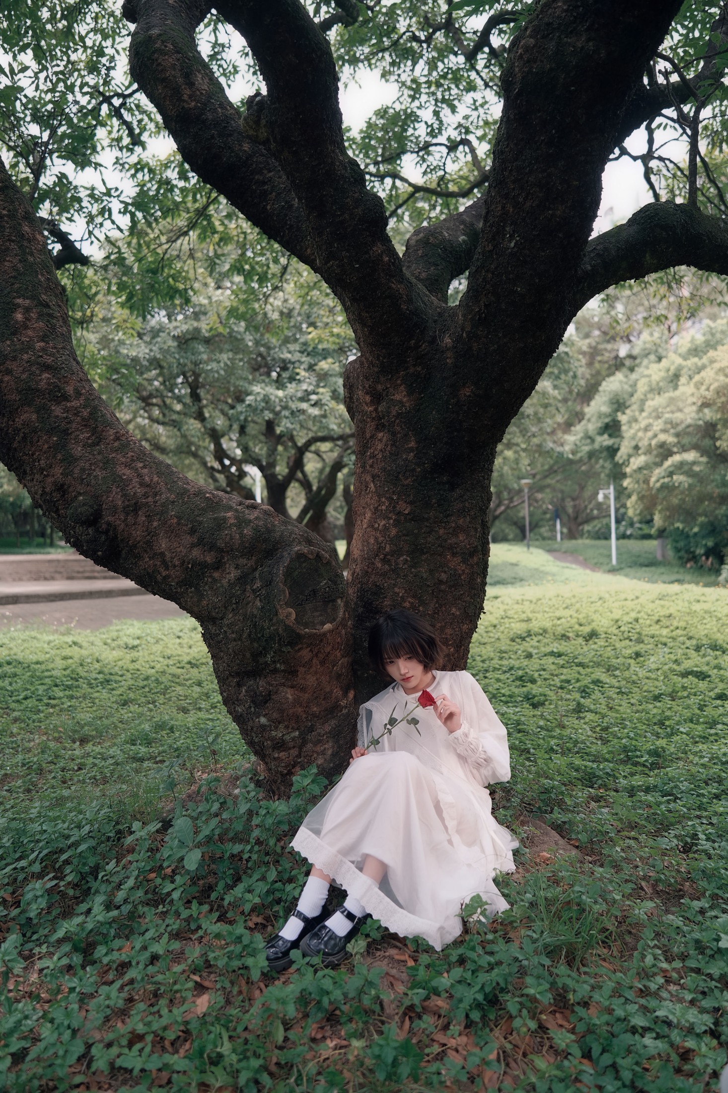 《森系少女 森林守序者》[14P] 插图2