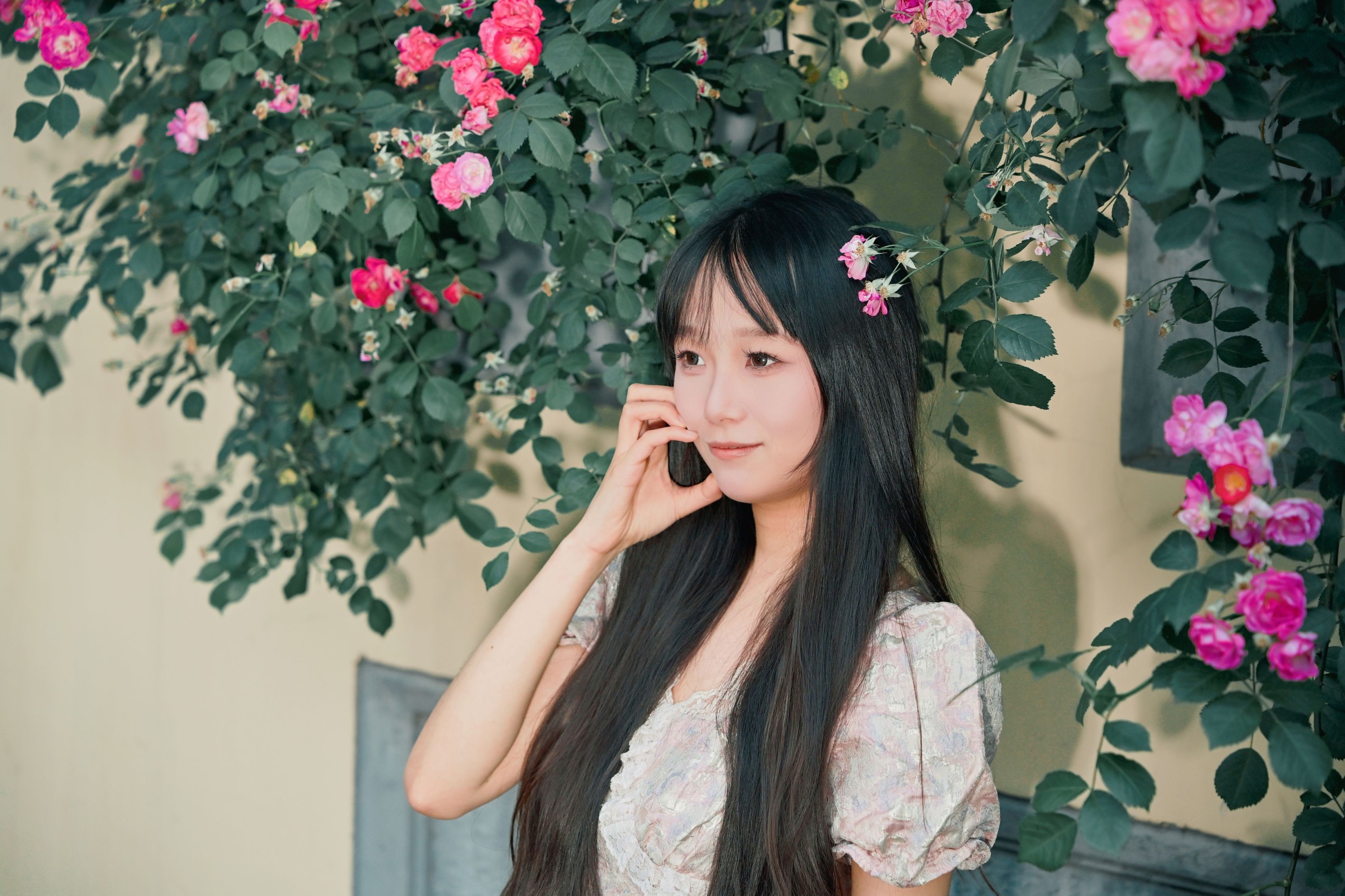 《满屏蔷薇，开满一整个春夏》[10P] 插图4