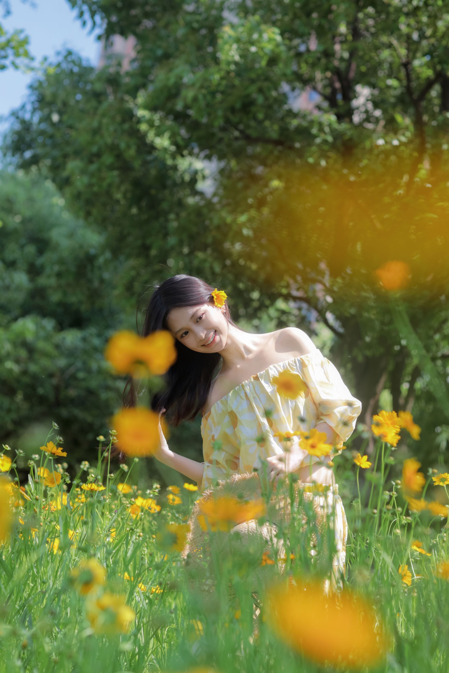 《夏日小黄花》[27P] 插图2