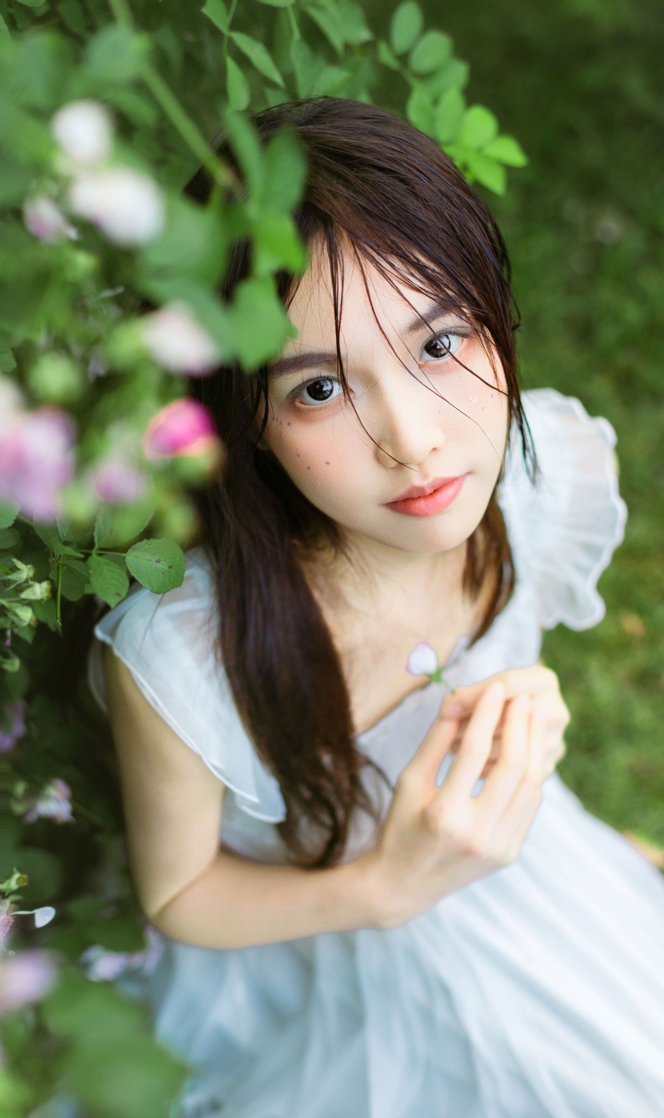 《花与少女》[16P]-66COS