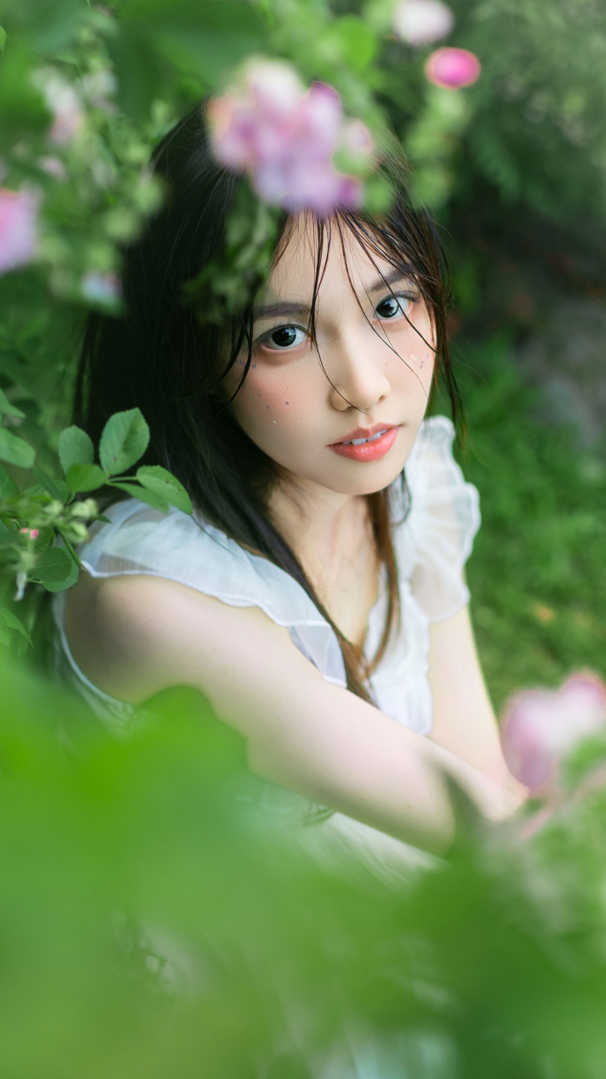《花与少女》[16P] 插图4
