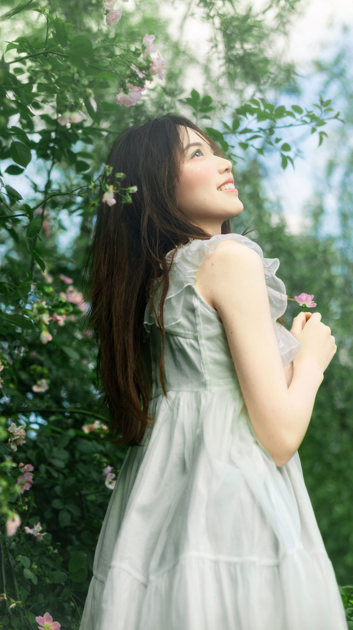 《花与少女》[16P] 插图2