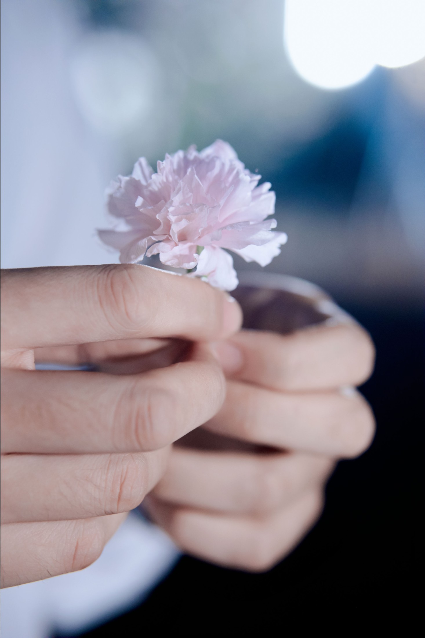 《夜樱》[31P]-66COS