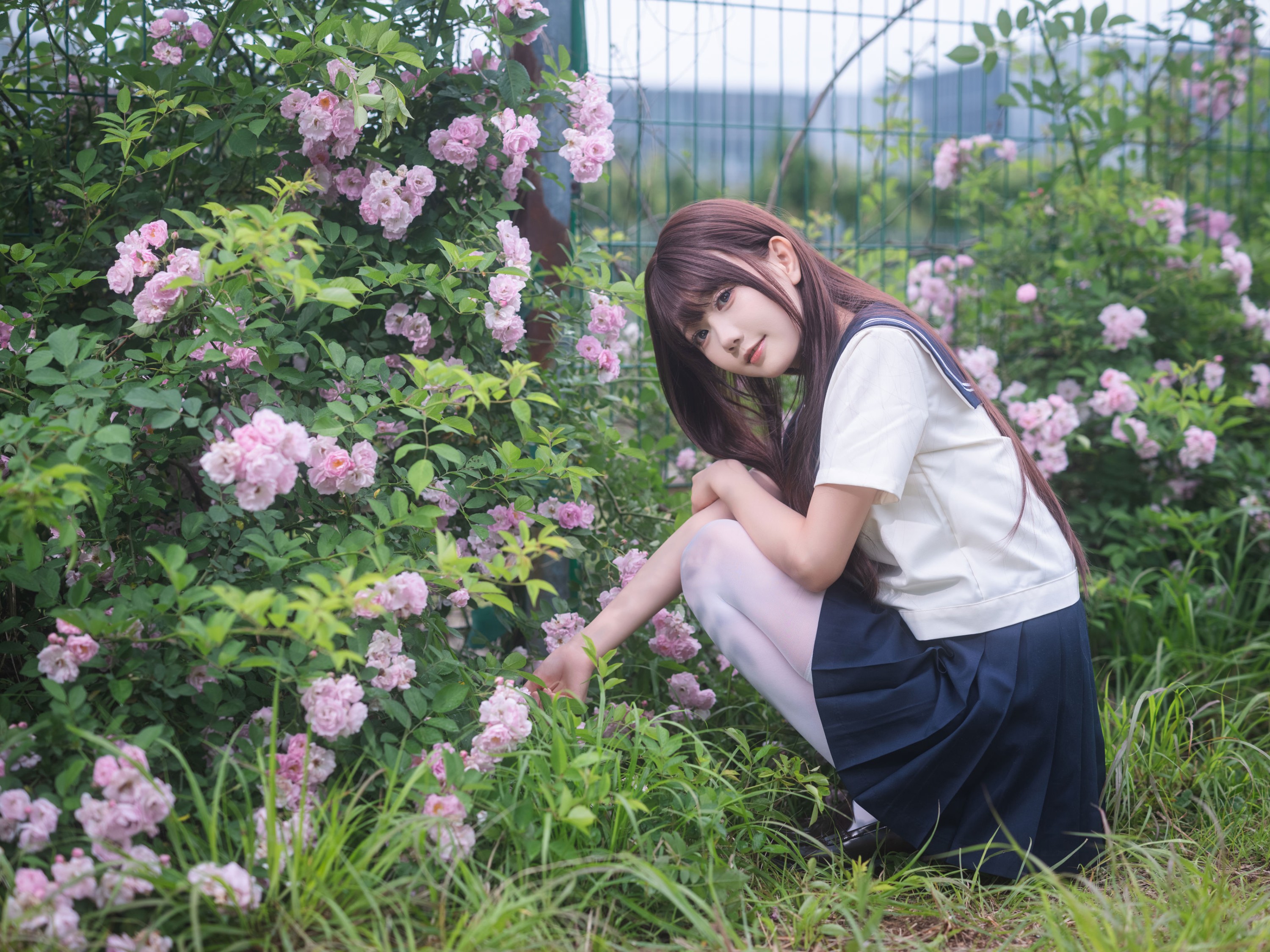 《蔷薇花JK》[27P]-66COS