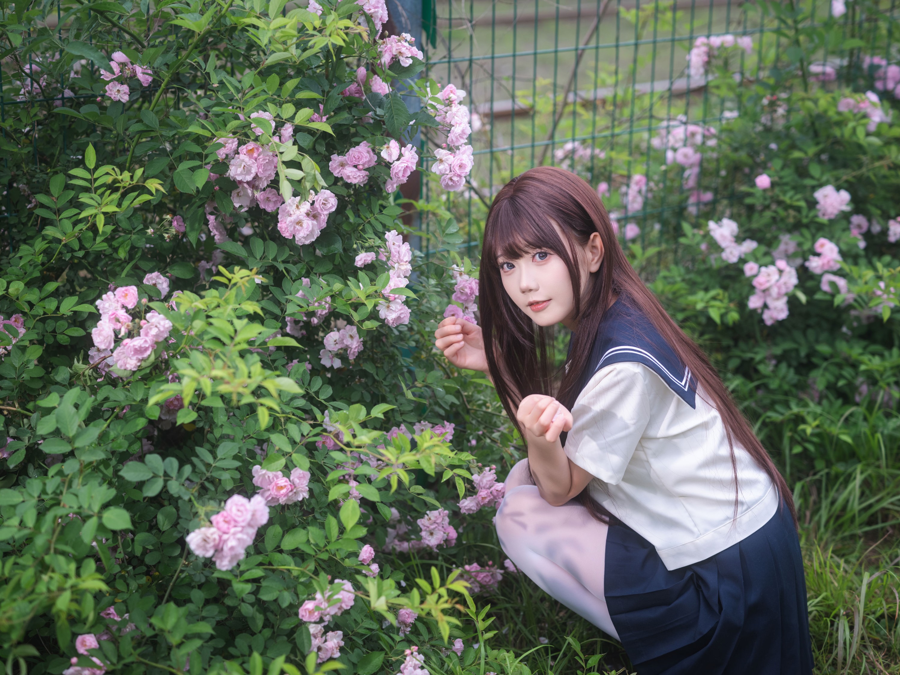 《蔷薇花JK》[27P] 插图2
