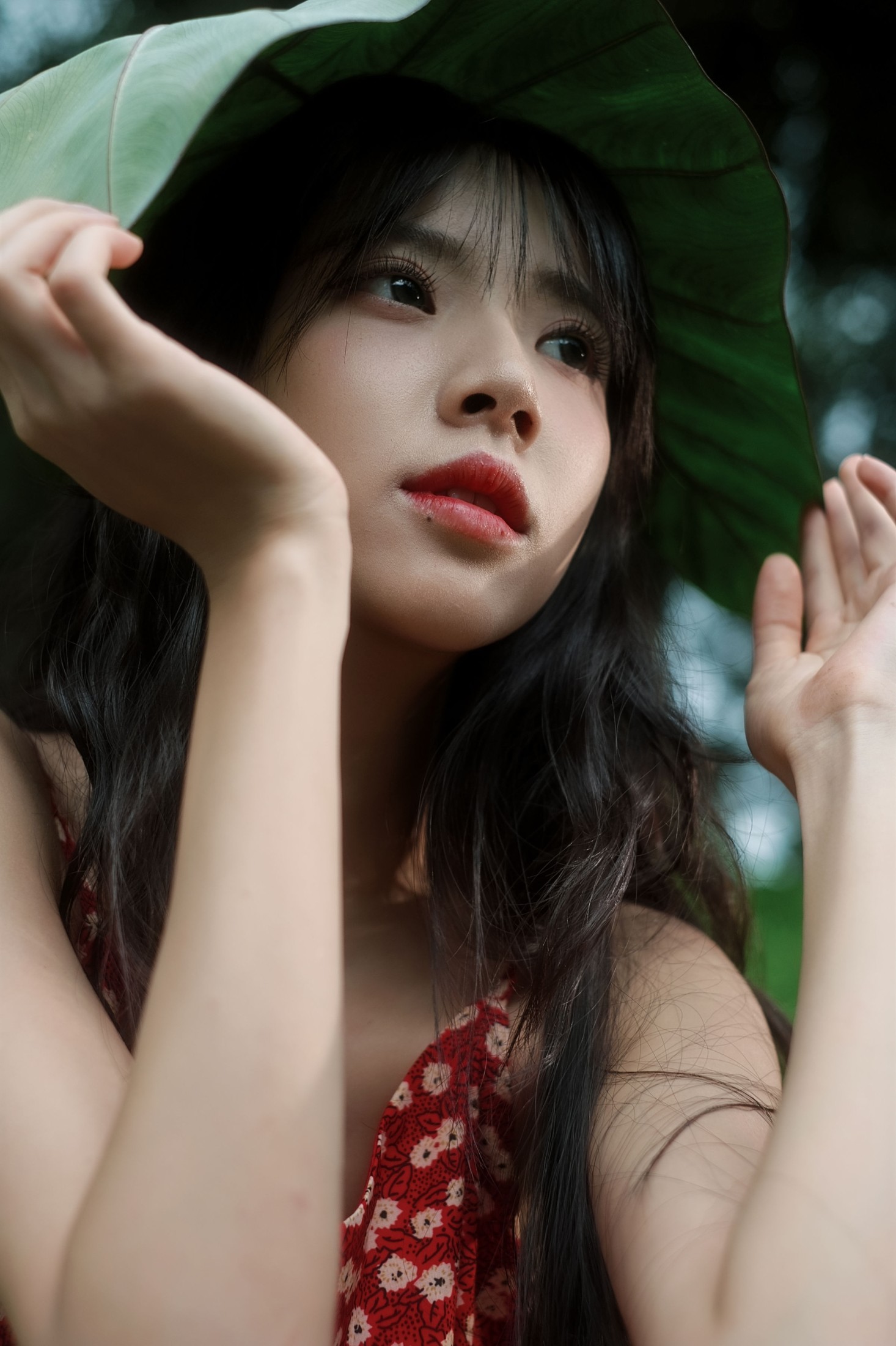《总偏爱雨后山林独有的静谧绿意》[24P] 插图5