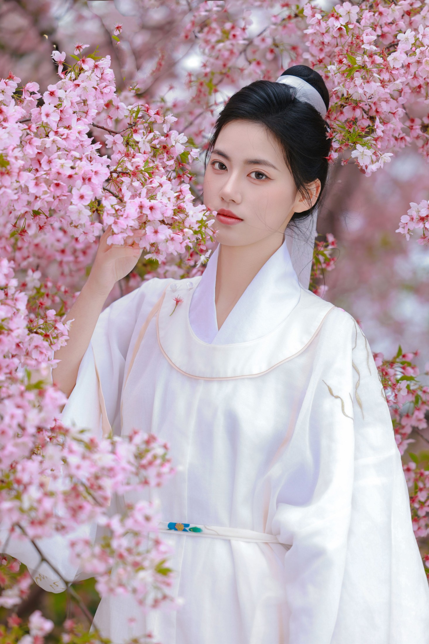 《樱花树下白衣卿》[42P] 插图2