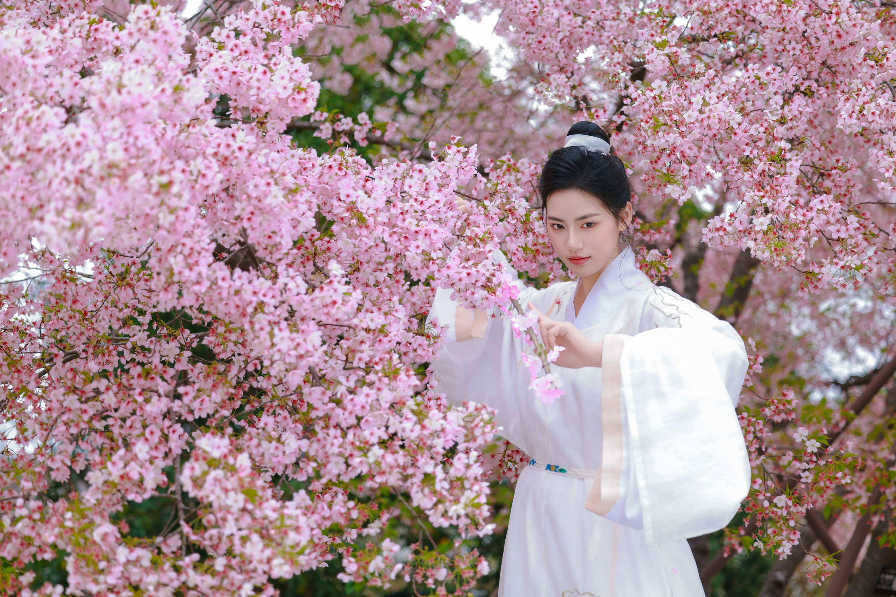 《樱花树下白衣卿》[42P]-66COS
