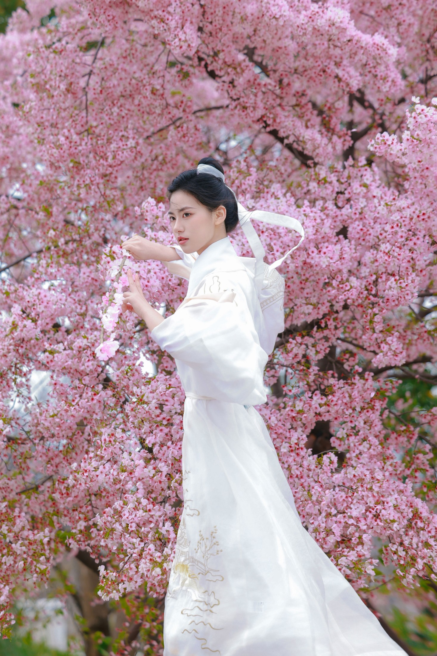 《樱花树下白衣卿》[42P] 插图3