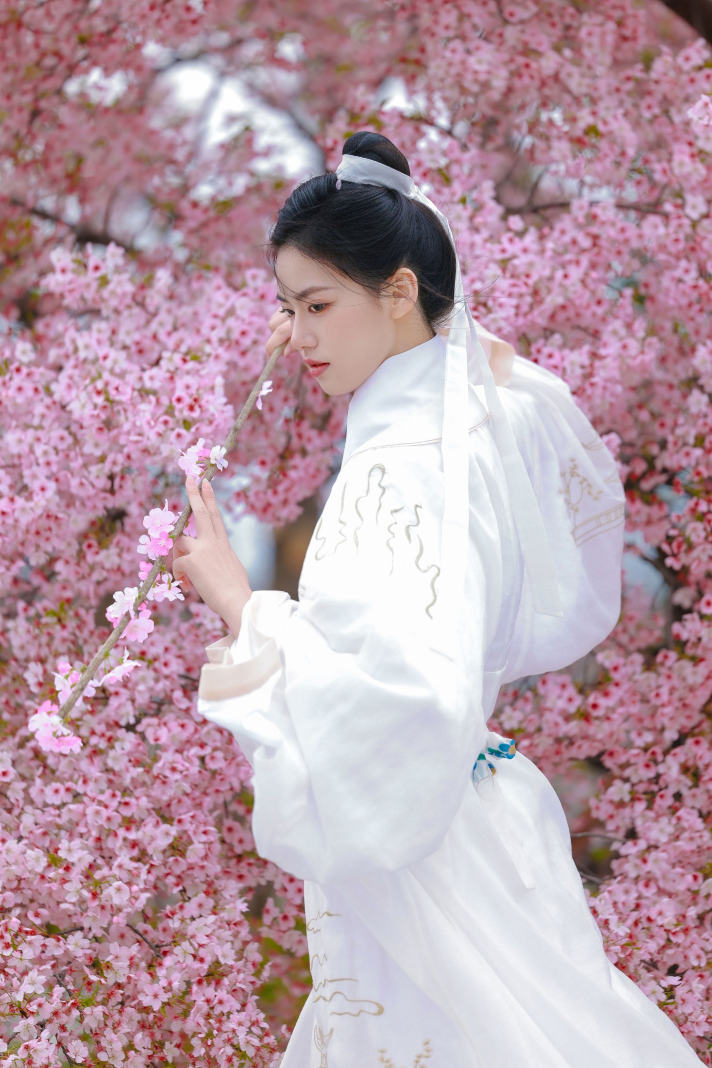 《樱花树下白衣卿》[42P] 插图4