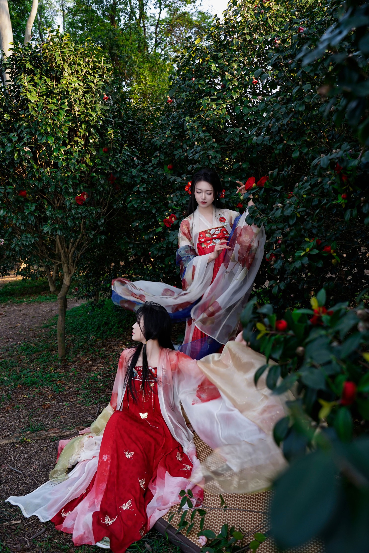 《山茶花花神双姝》[20P]-66COS