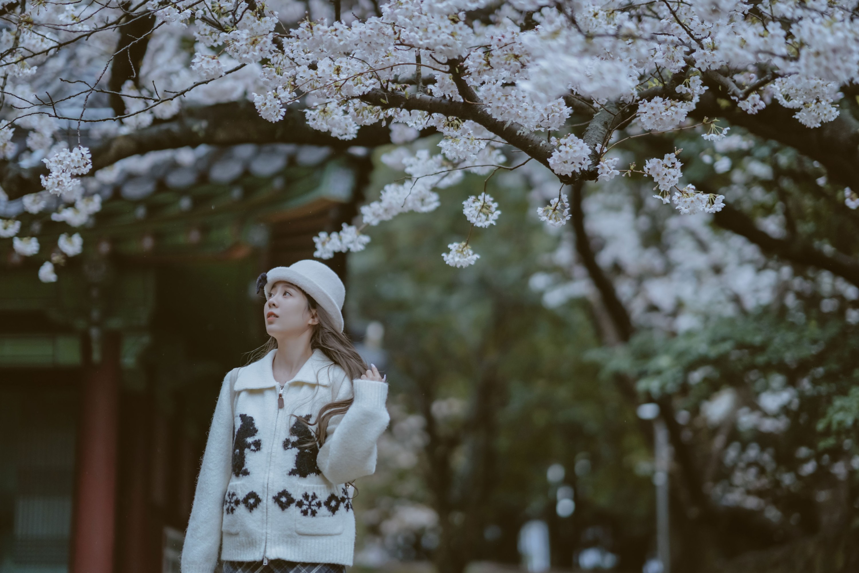 《是花开的那一天》[11P] 插图5