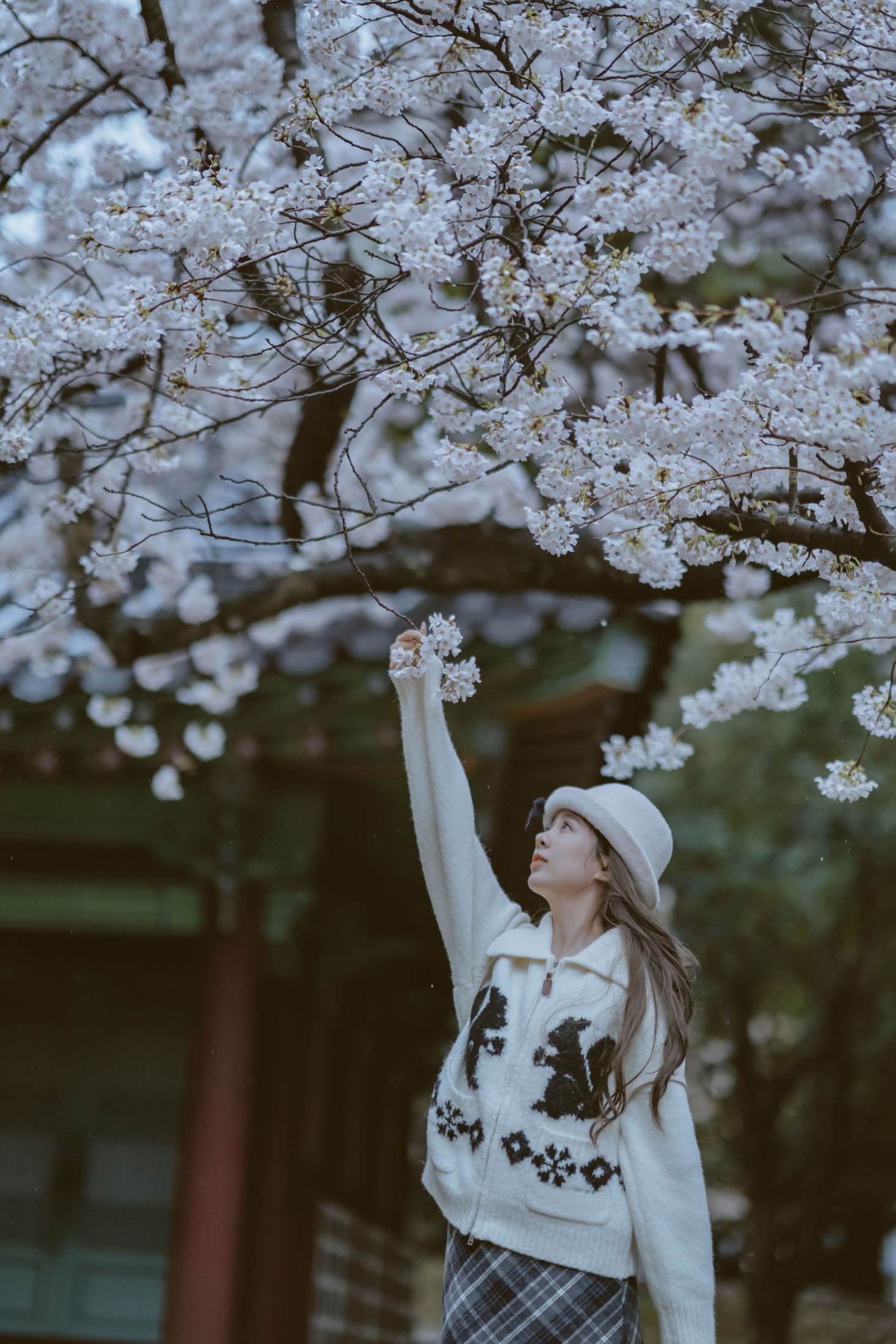 《是花开的那一天》[11P] 插图4