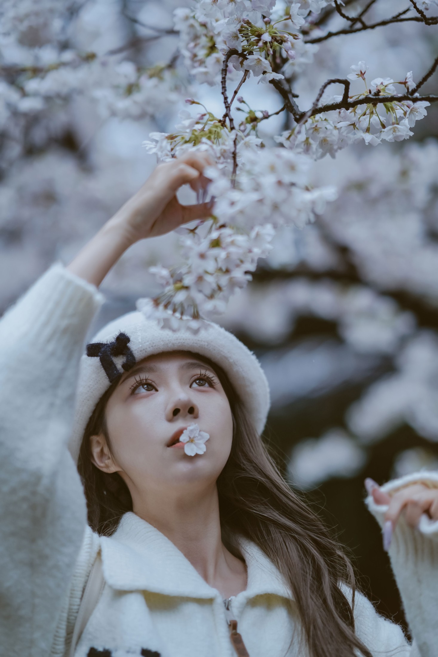 《是花开的那一天》[11P] 插图3