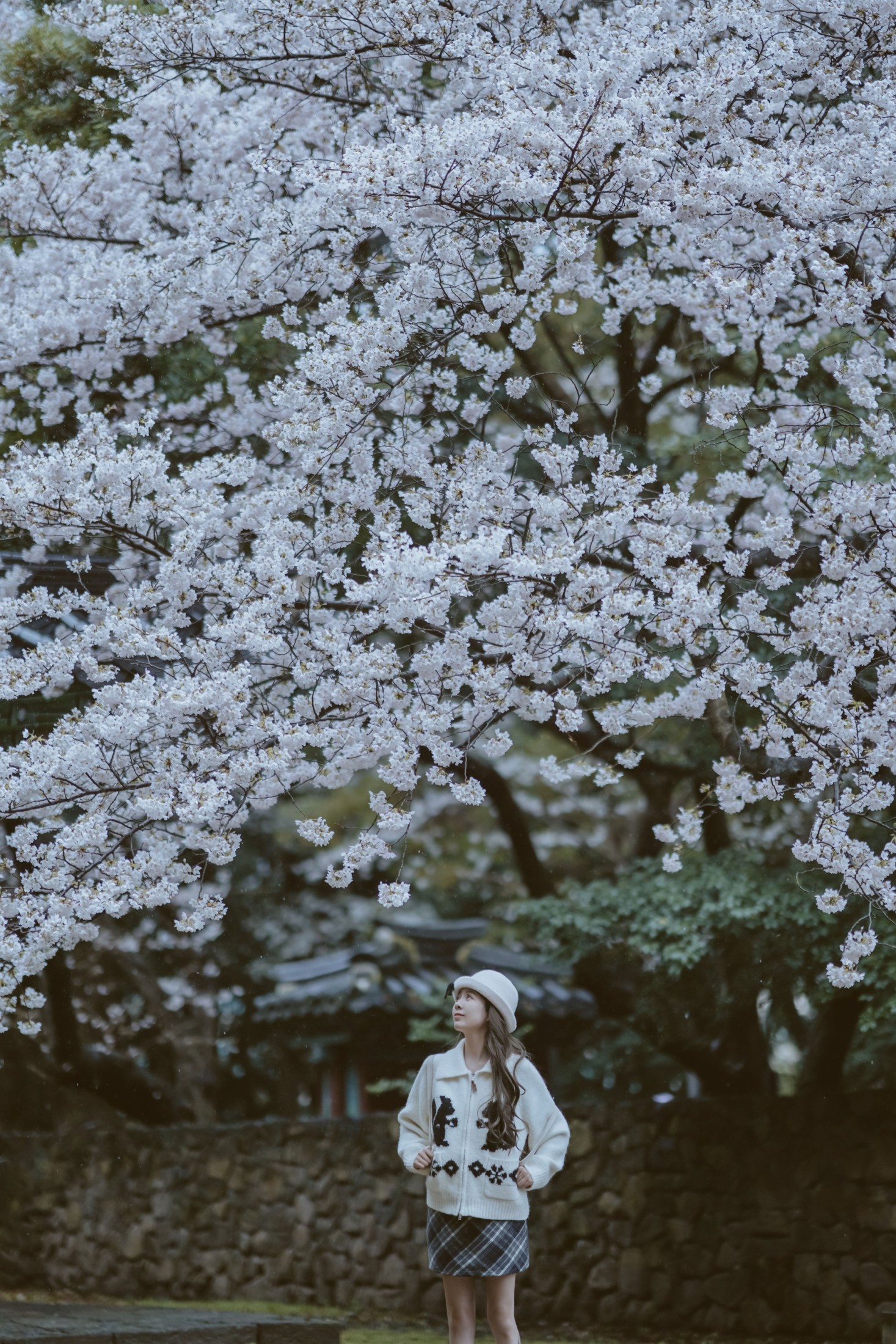 《是花开的那一天》[11P] 插图2
