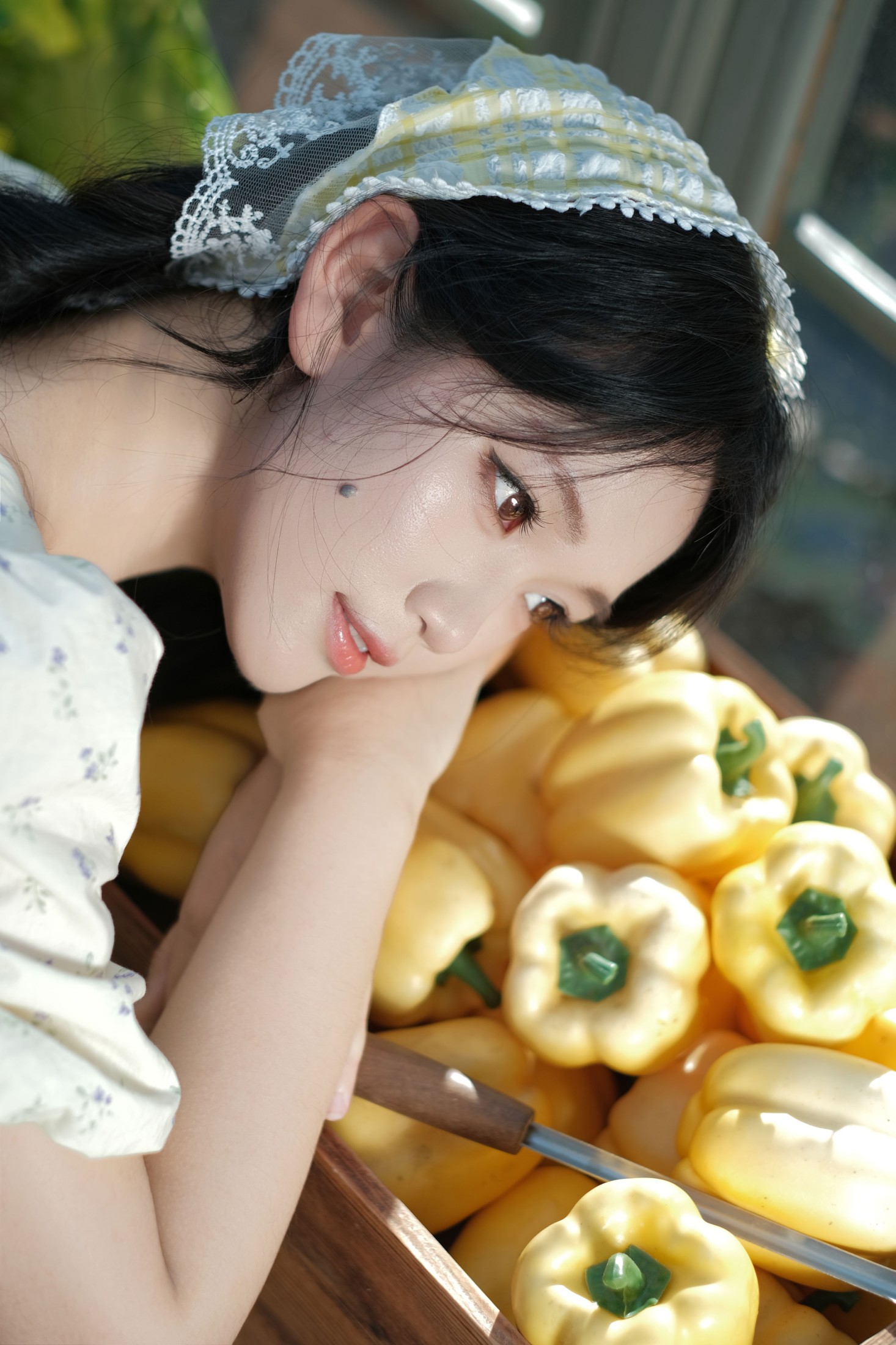 《田园日记》[13P] 插图5