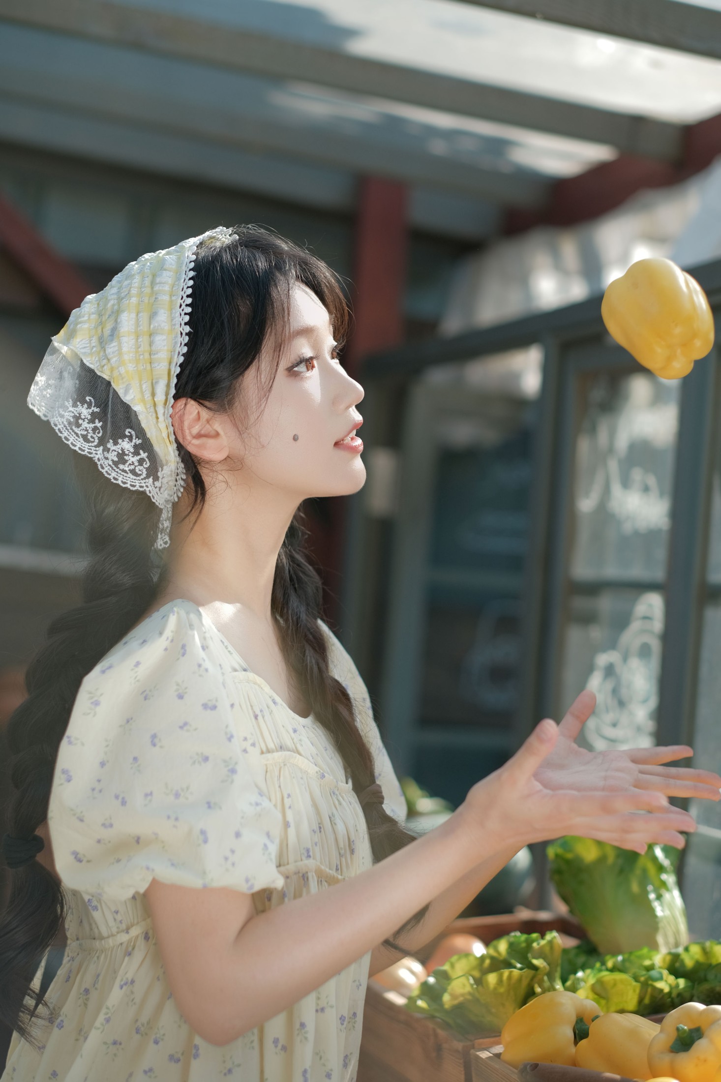 《田园日记》[13P] 插图3