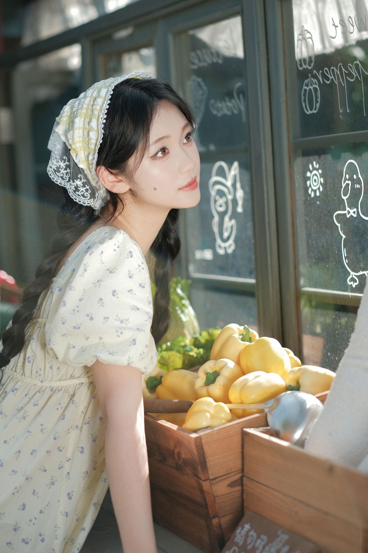 《田园日记》[13P] 插图4
