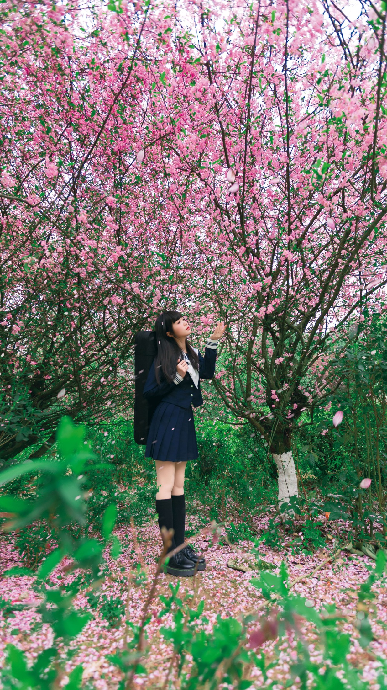 《海棠花下独凑》[27P] 插图2