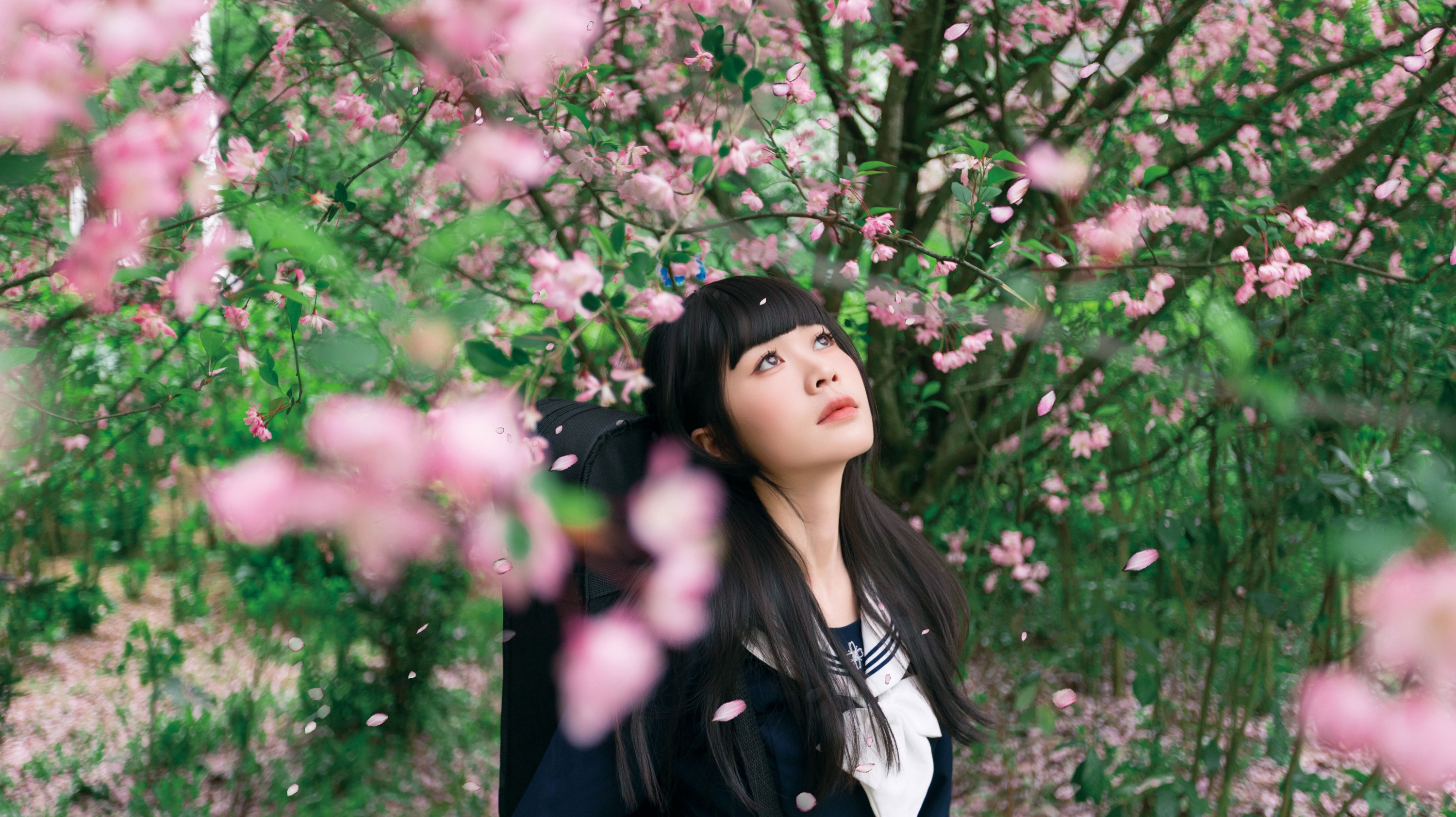 《海棠花下独凑》[27P] 插图3