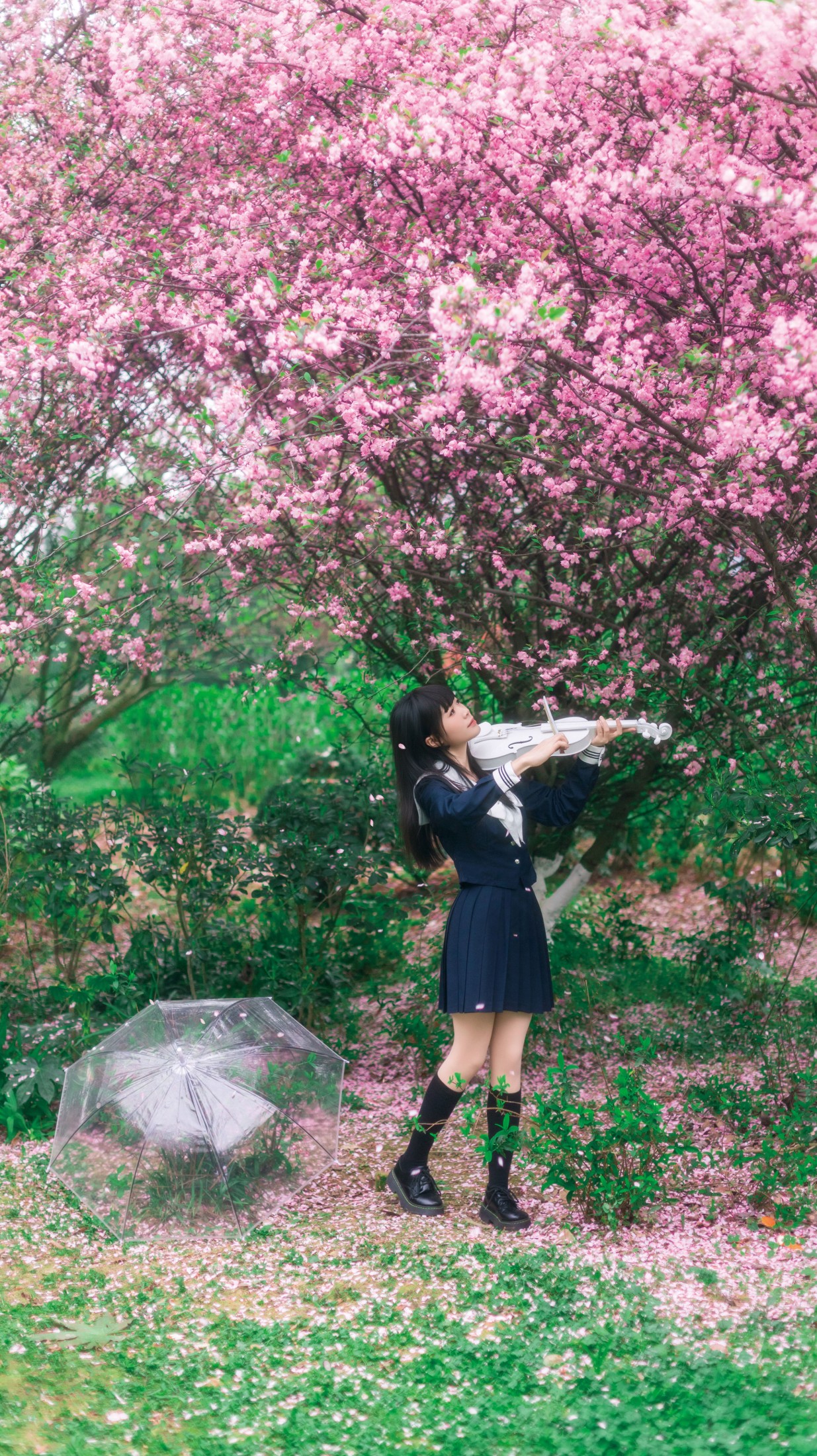 《海棠花下独凑》[27P] 插图5
