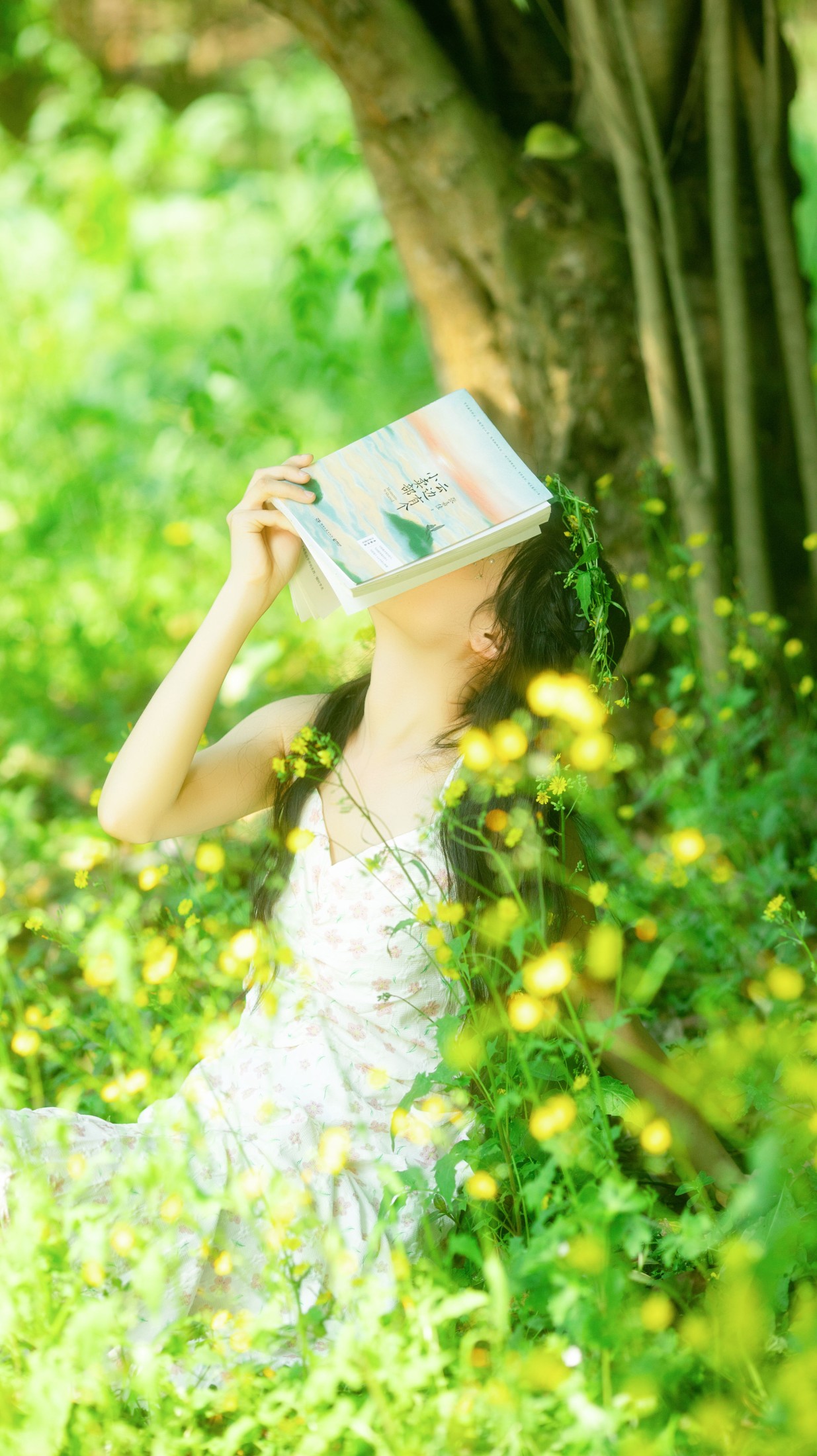 《阳光下的少女》[22P] 插图2