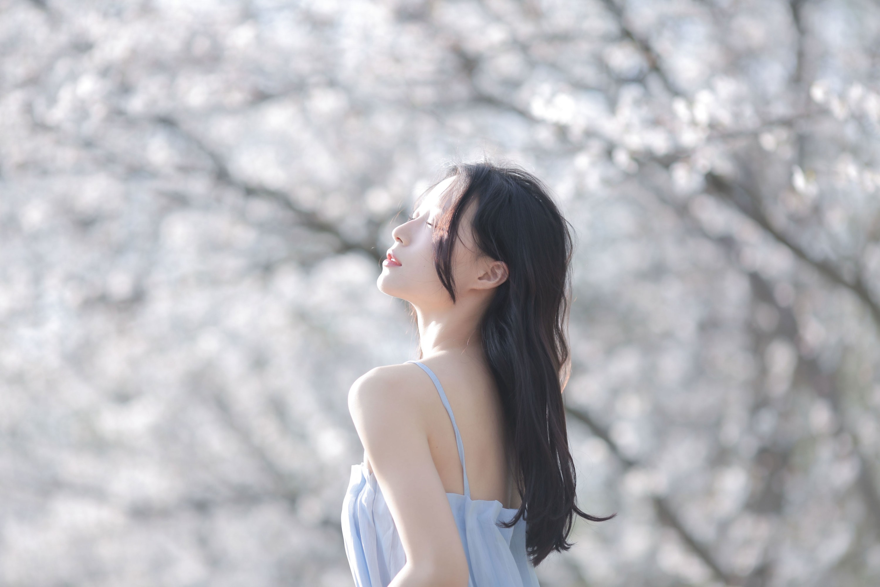 《在樱花车站，等来往春天的巴士》[12P] 插图5