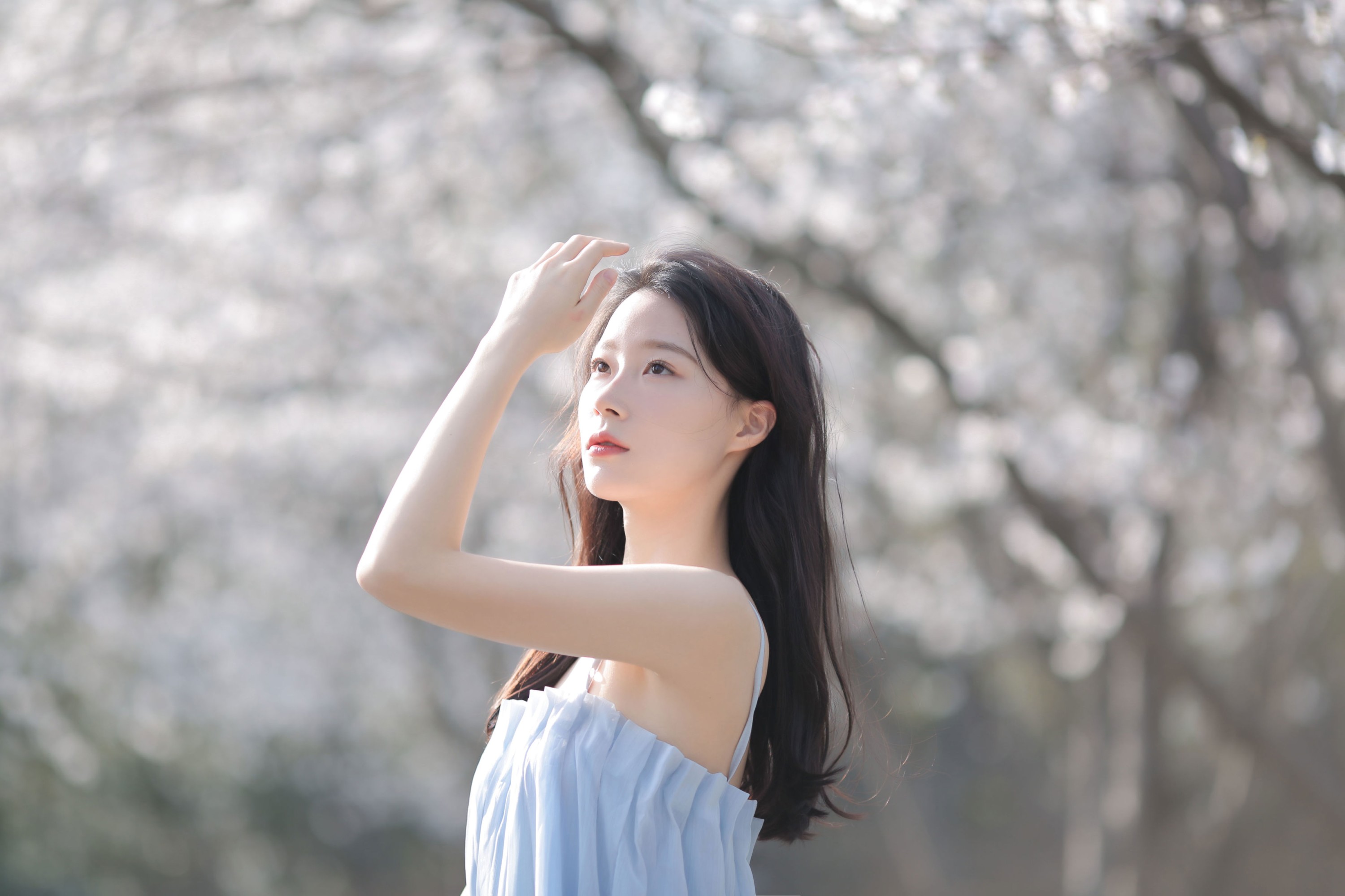 《在樱花车站，等来往春天的巴士》[12P] 插图4