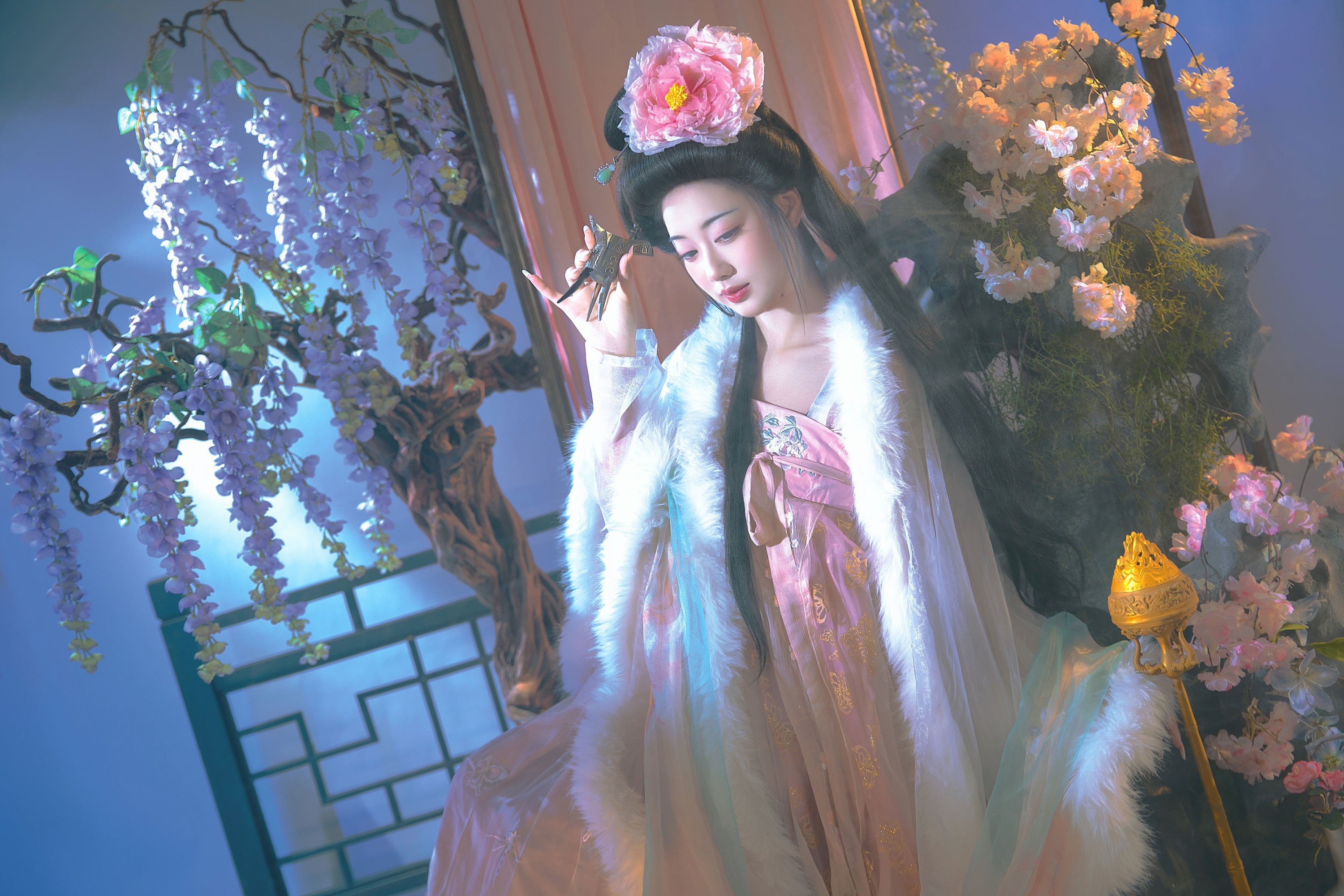 《贵妃醉酒》[15P] 插图4