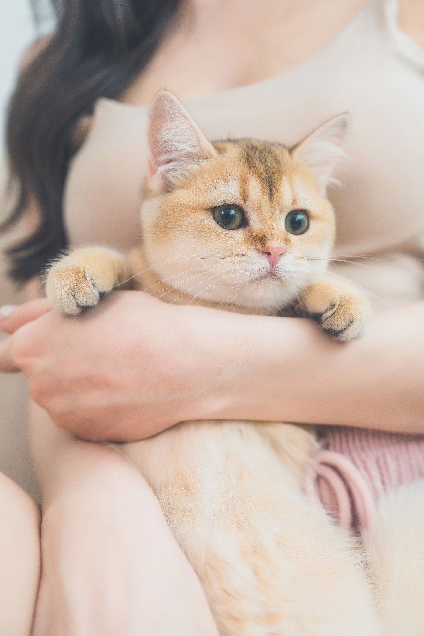 《哈基尼 小猫咪》[10P] 插图4