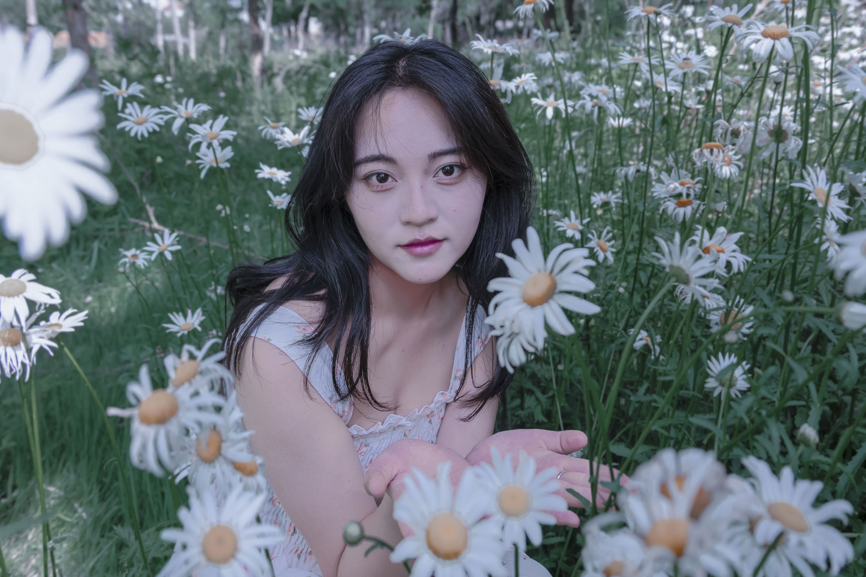 《草地白菊花白衣性感女子写真》[34P] 插图4