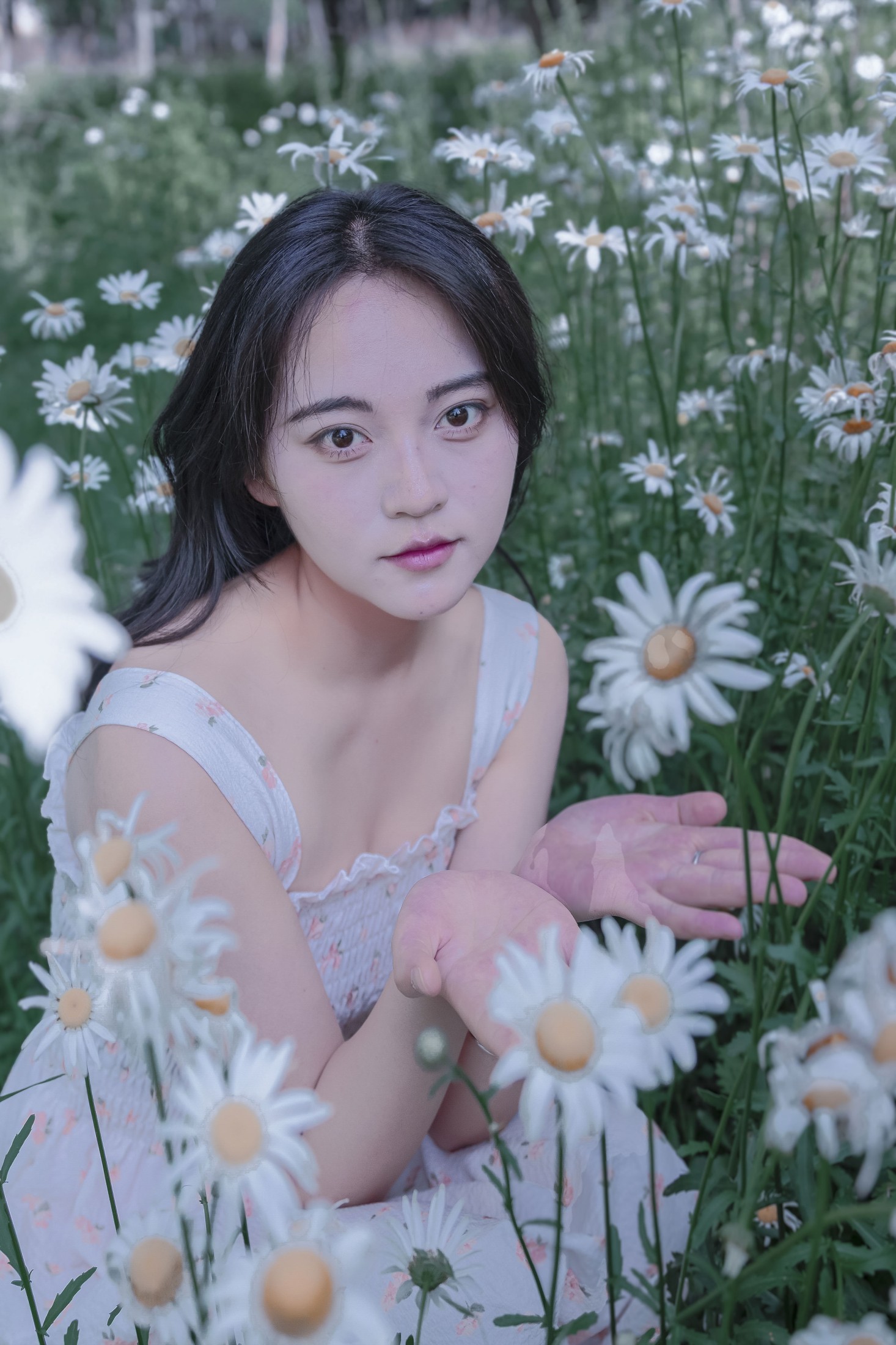 《草地白菊花白衣性感女子写真》[34P] 插图5