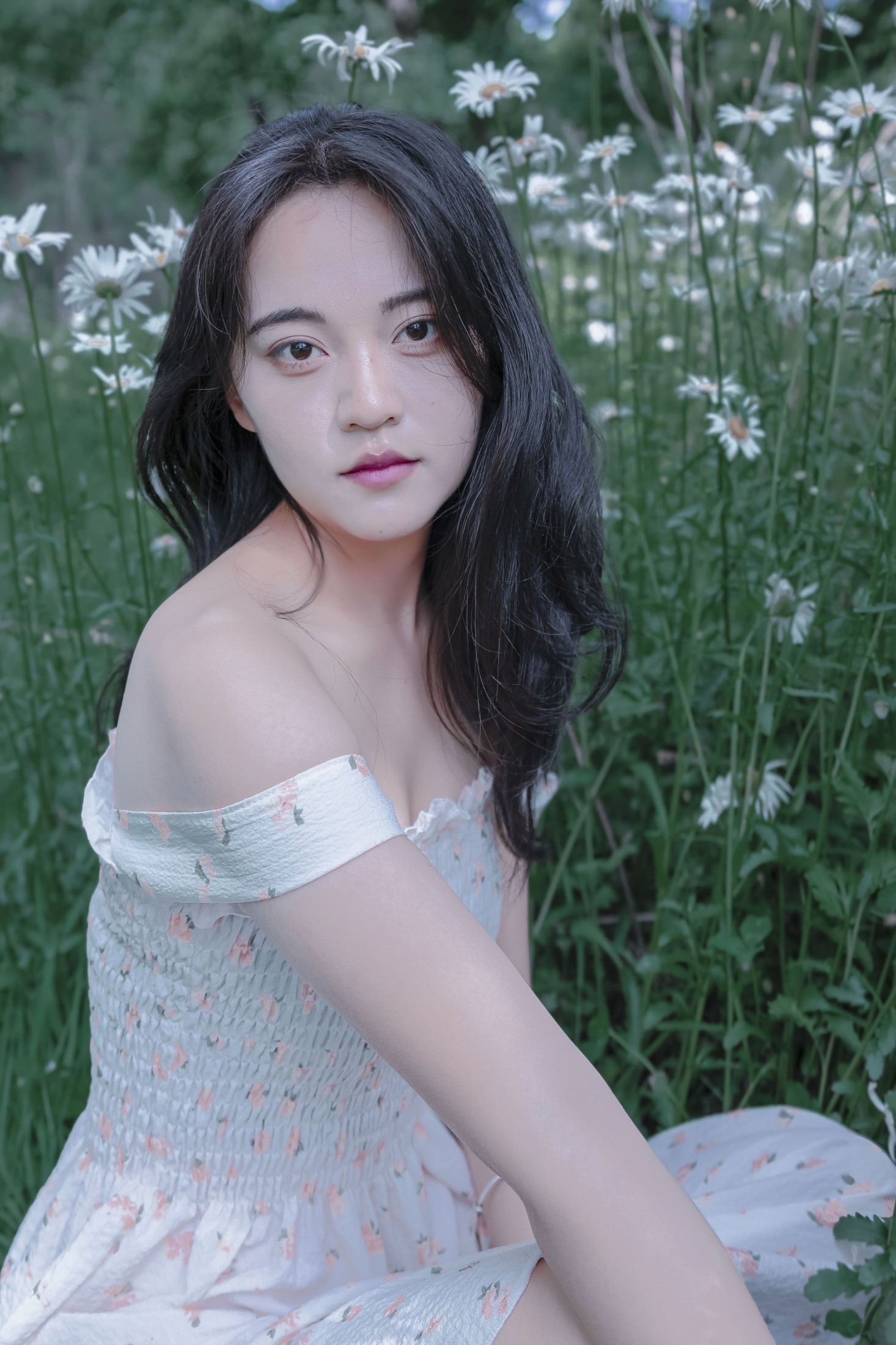 《草地白菊花白衣性感女子美女写真》[29P] 插图3