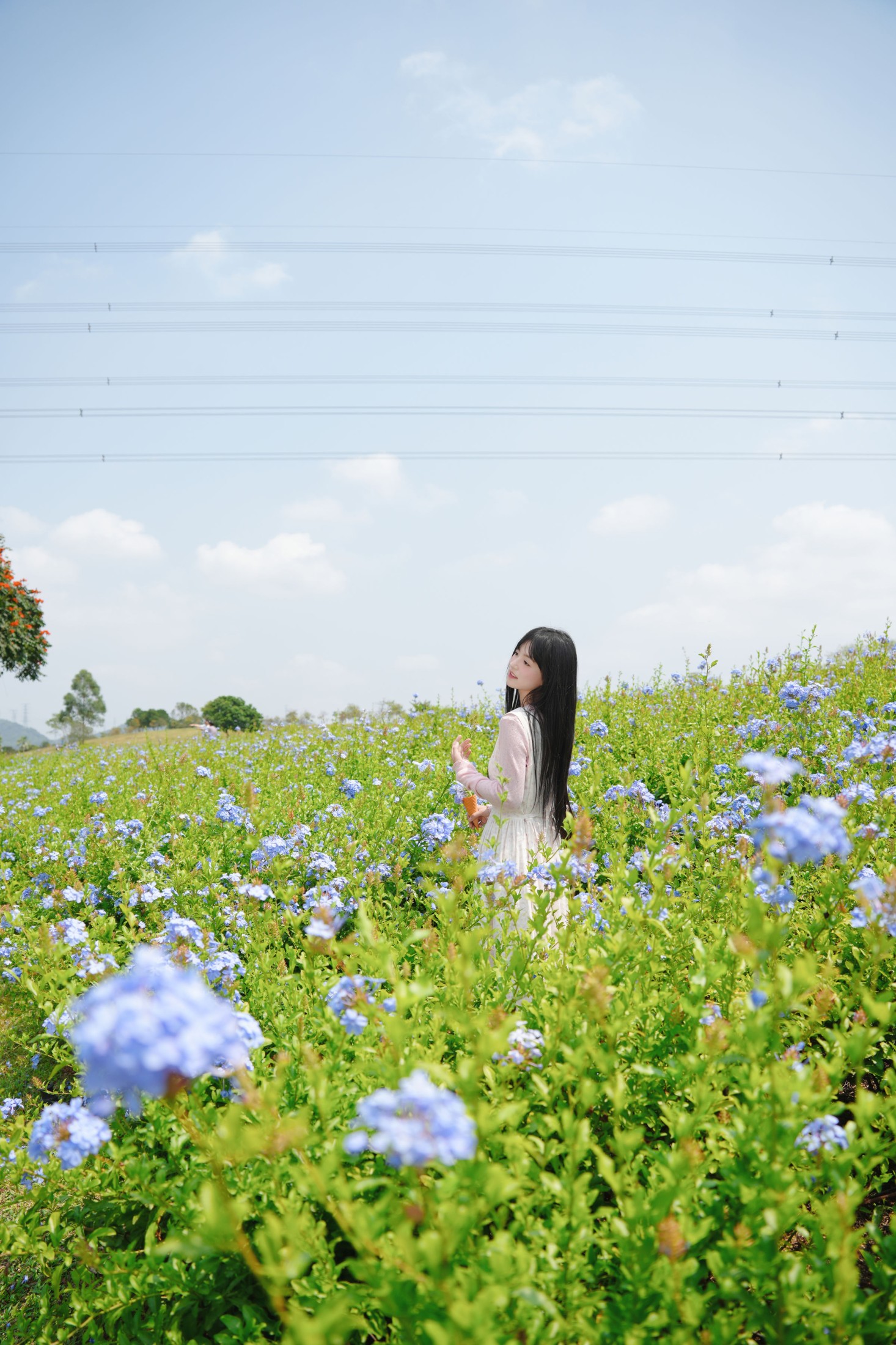 《可爱的山坡少女》[11P] 插图2