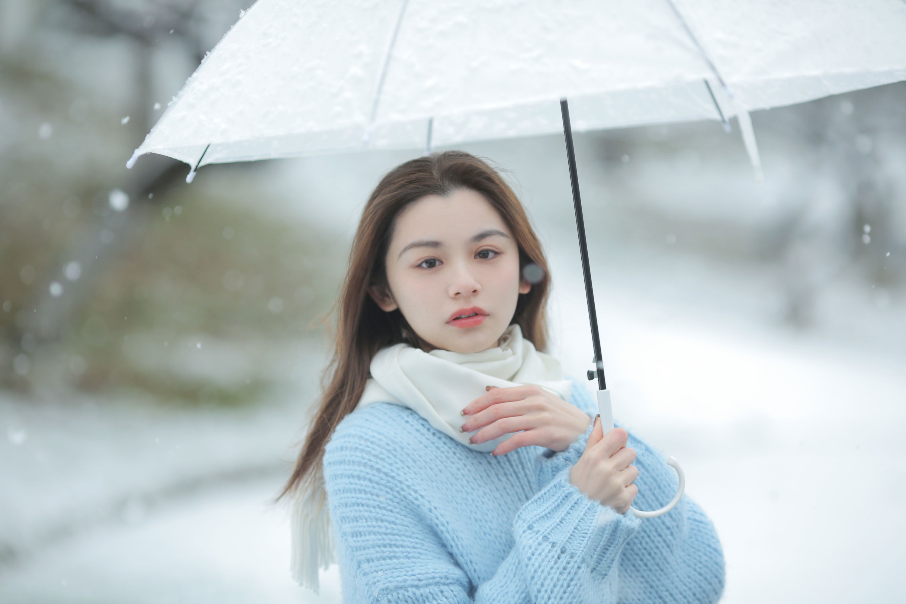 《我画一只飞鸟，衔着白雪飞去》[11P] 插图2