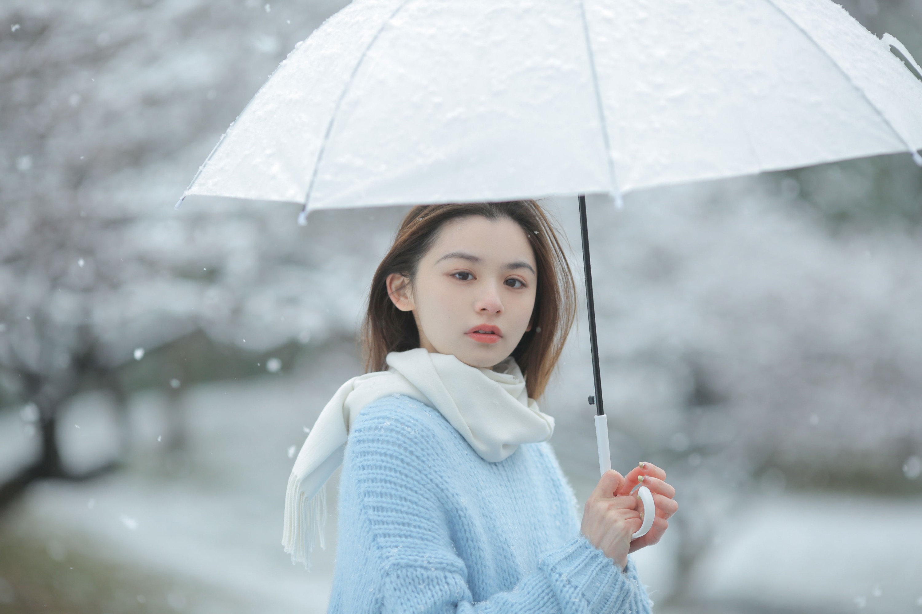 《我画一只飞鸟，衔着白雪飞去》[11P] 插图4