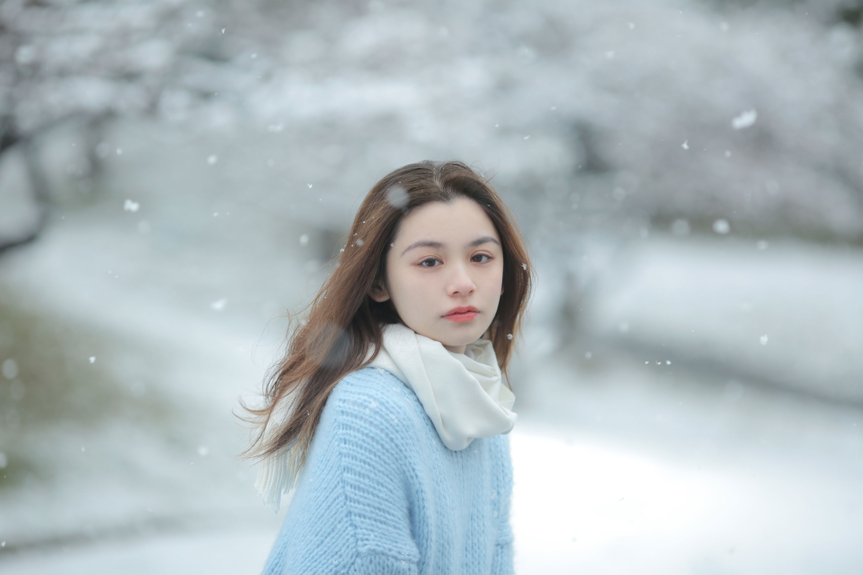 《我画一只飞鸟，衔着白雪飞去》[11P] 插图3