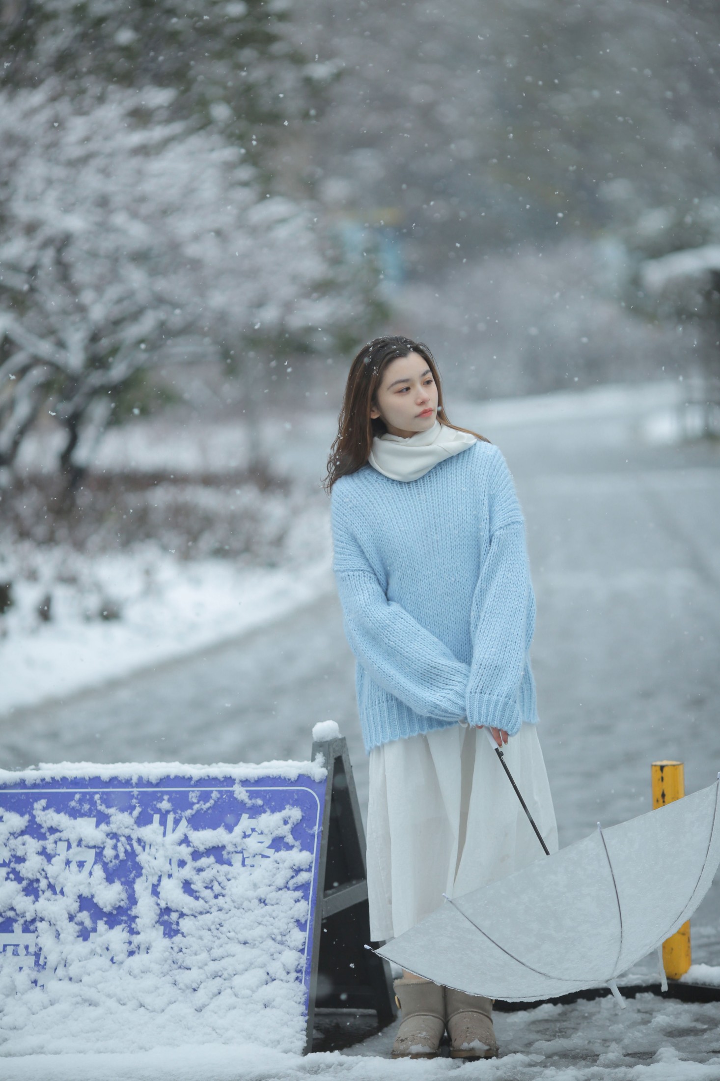 《我画一只飞鸟，衔着白雪飞去》[11P]-66COS