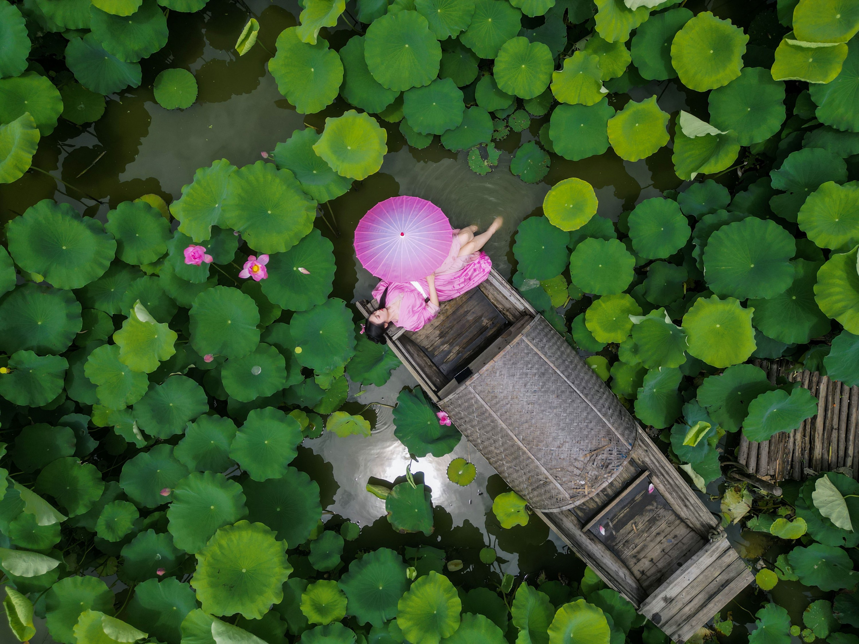 《兴尽晚回舟，误入藕花深处》[27P] 插图2