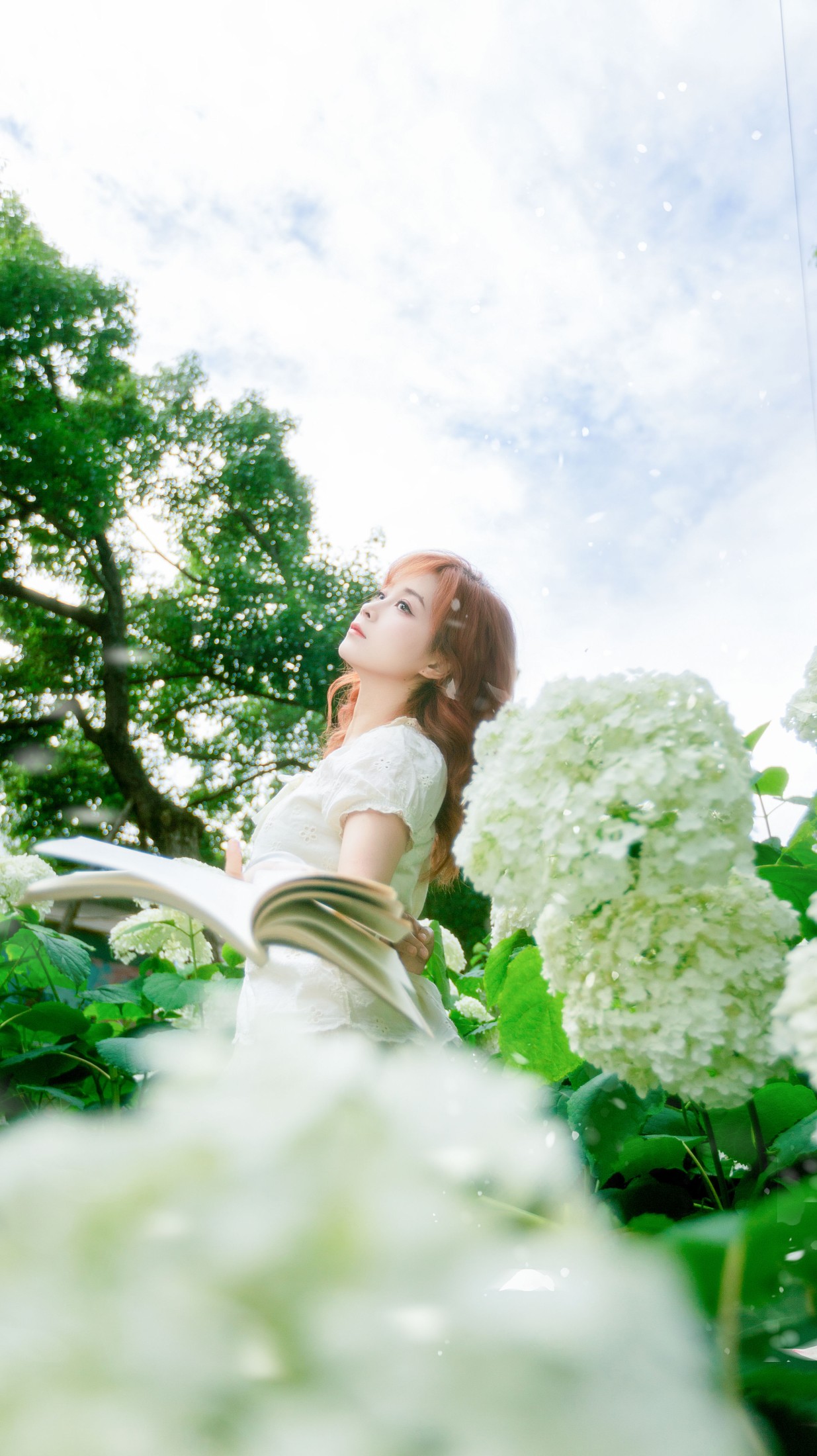 《风递花笺》[29P]-66COS