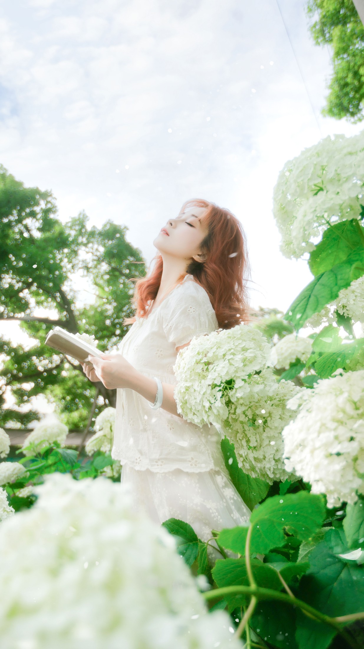 《风递花笺》[29P] 插图2