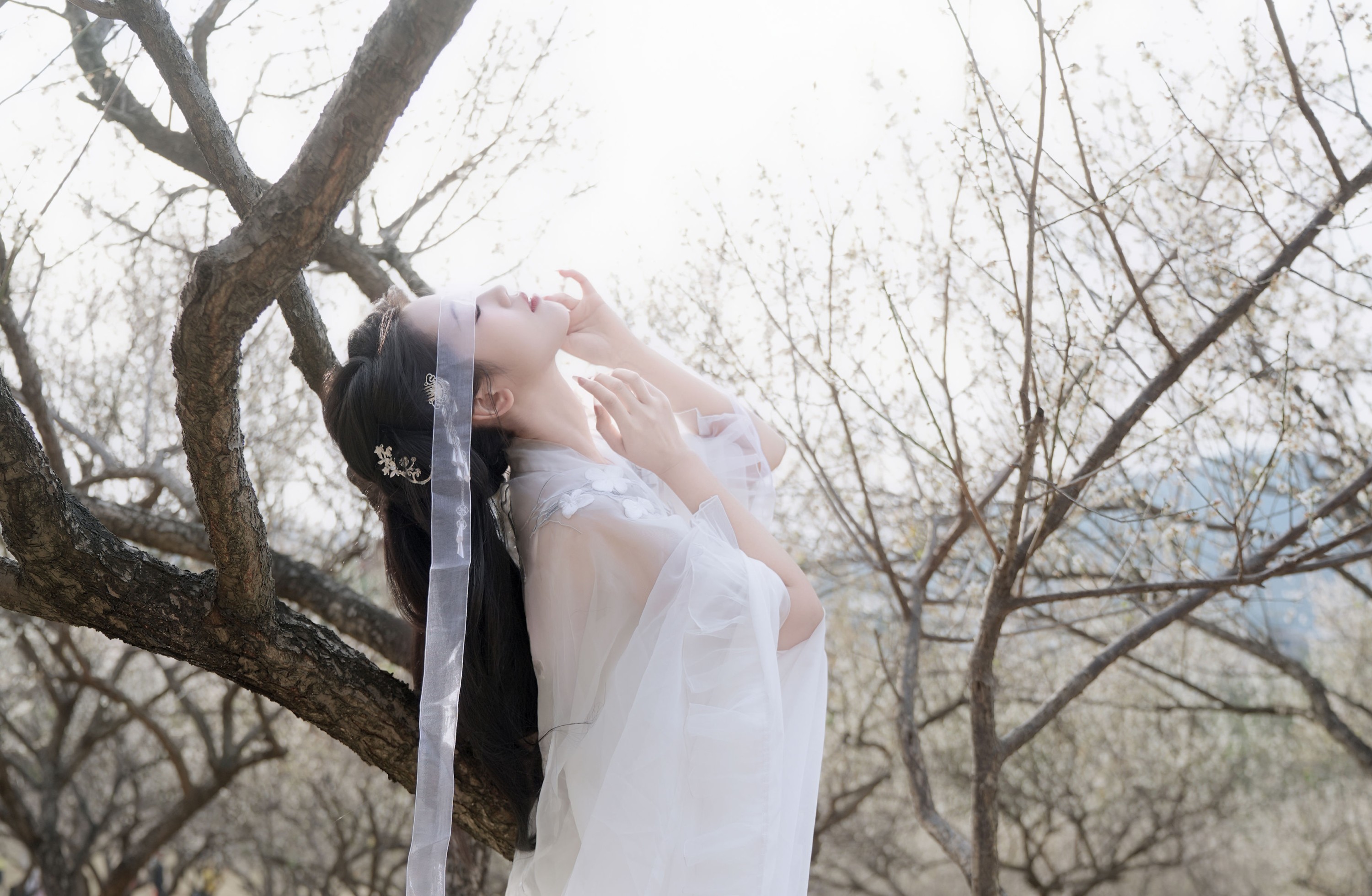 《白梅》[27P] 插图4