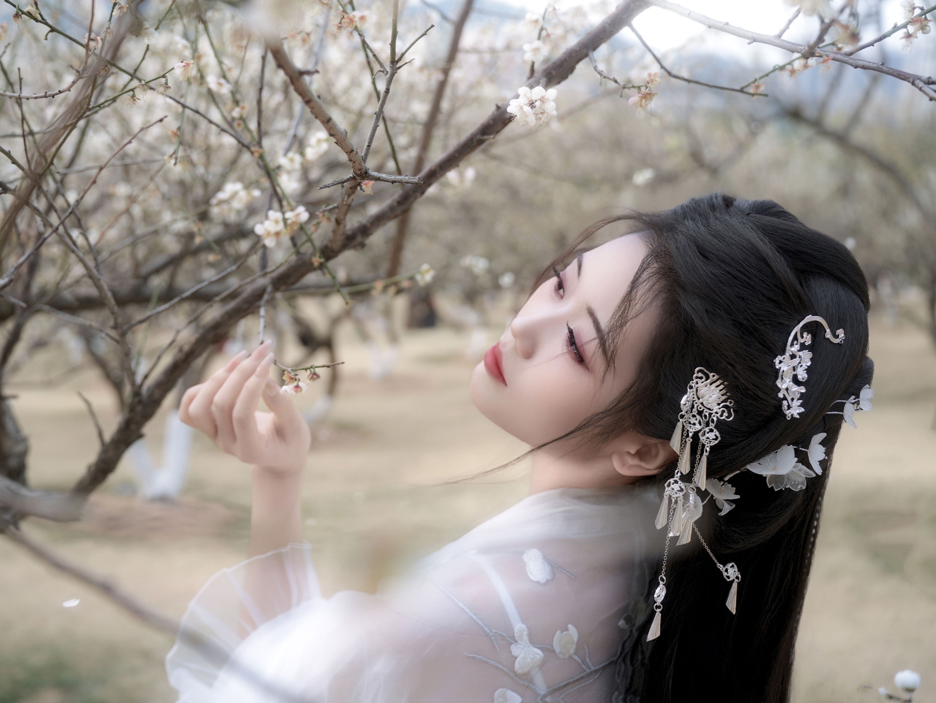 《白梅》[27P] 插图2