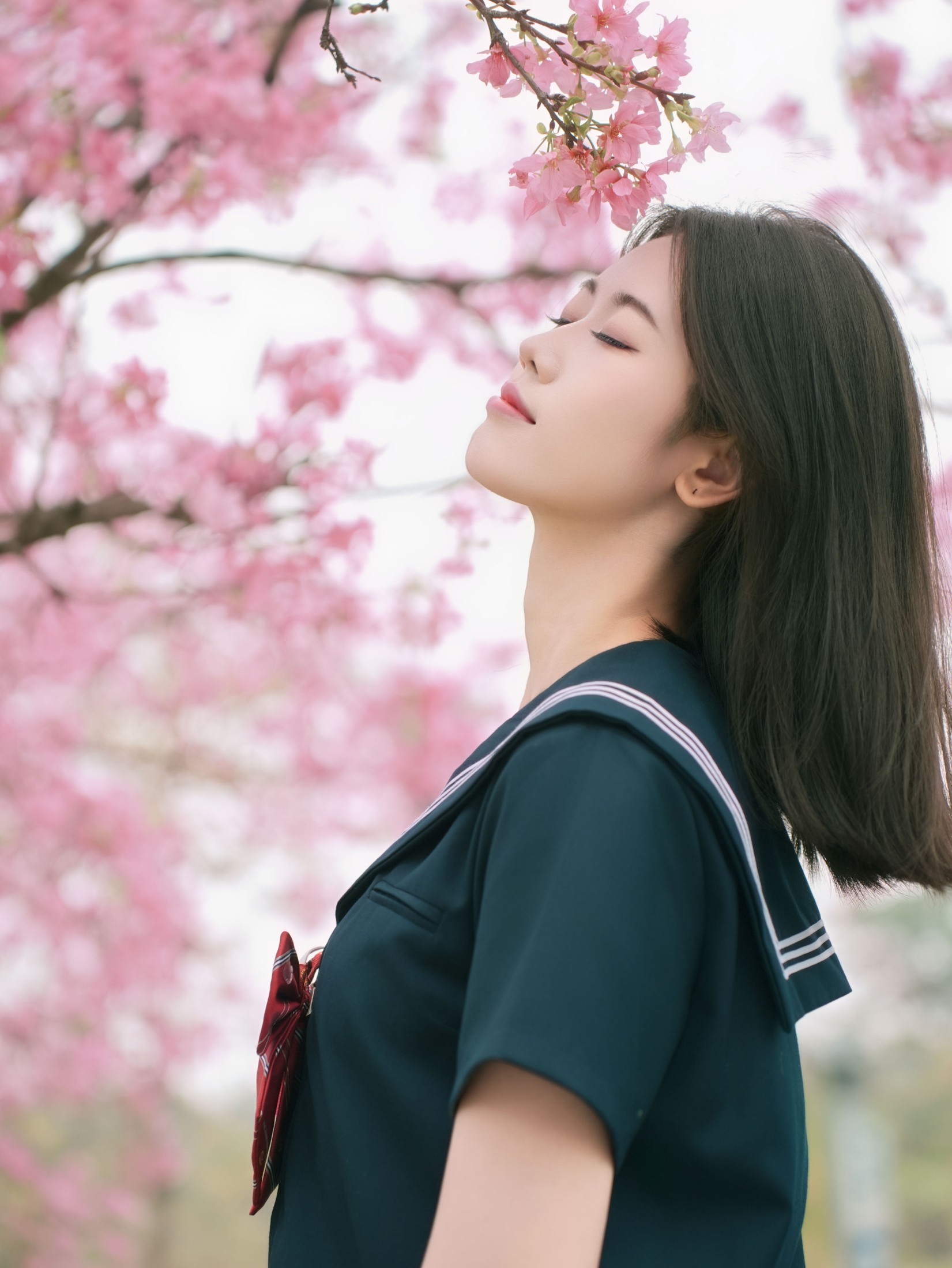 《樱花与jk》[12P] 插图5