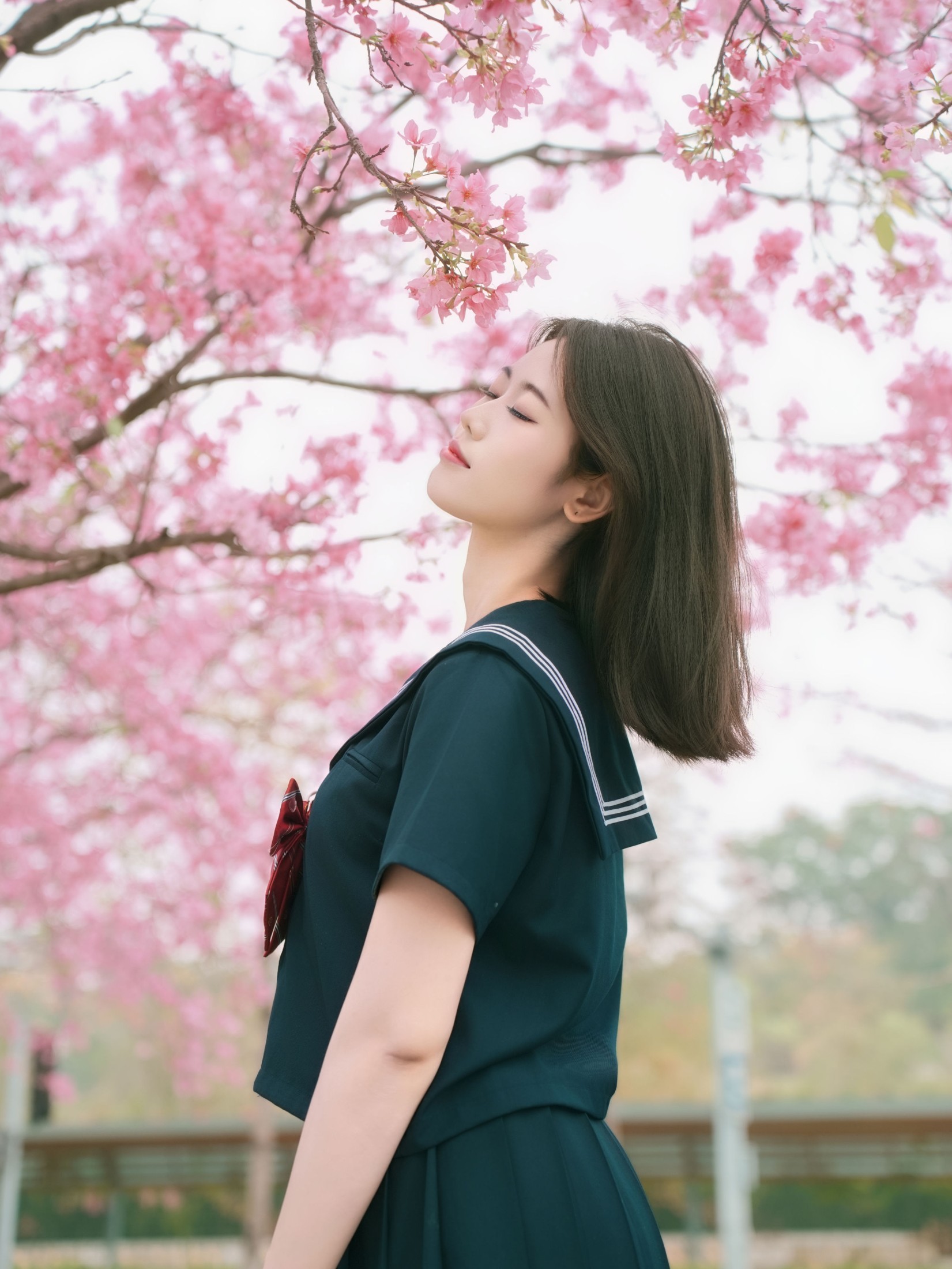 《樱花与jk》[12P] 插图4