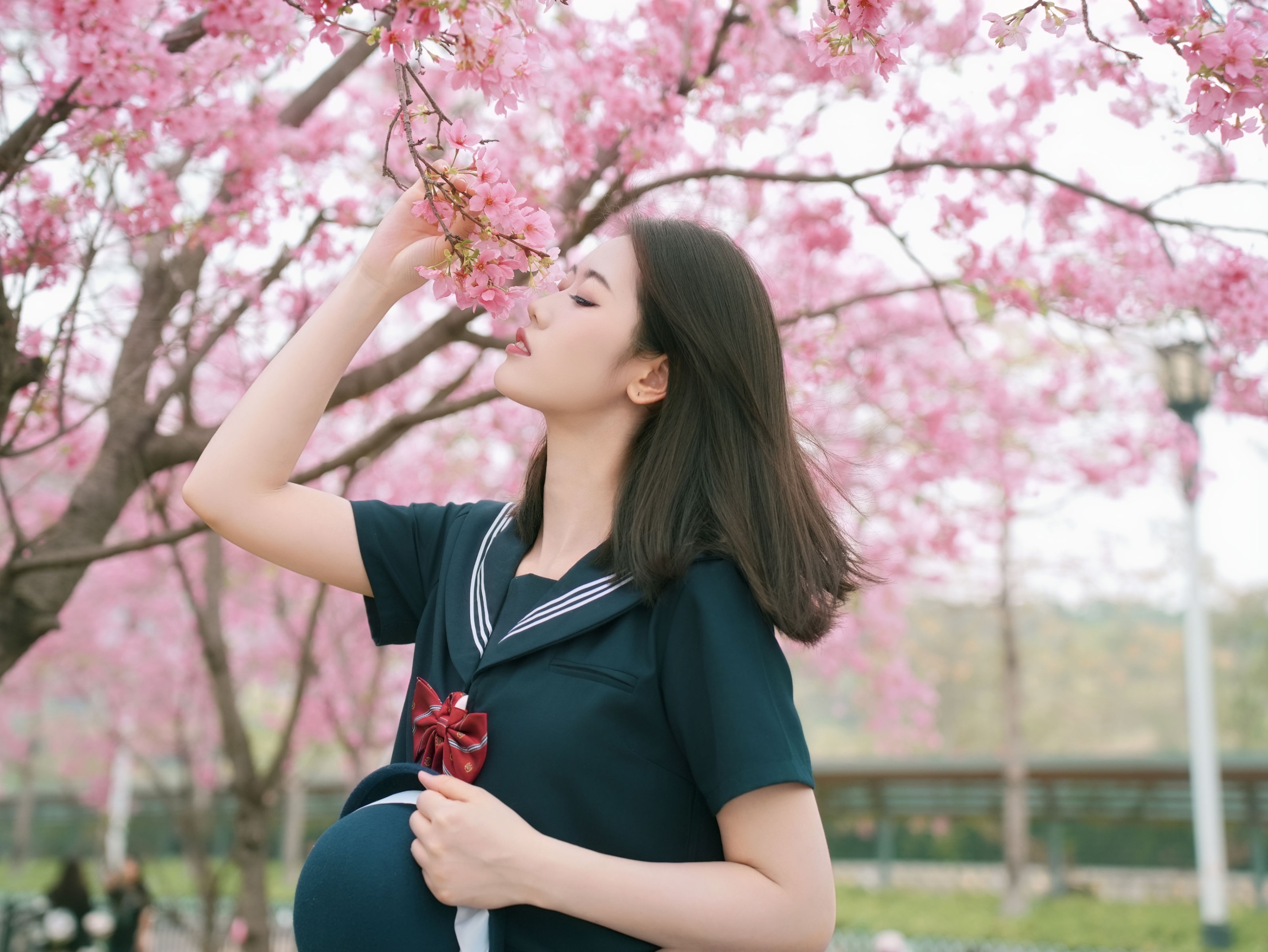 《樱花与jk》[12P] 插图2