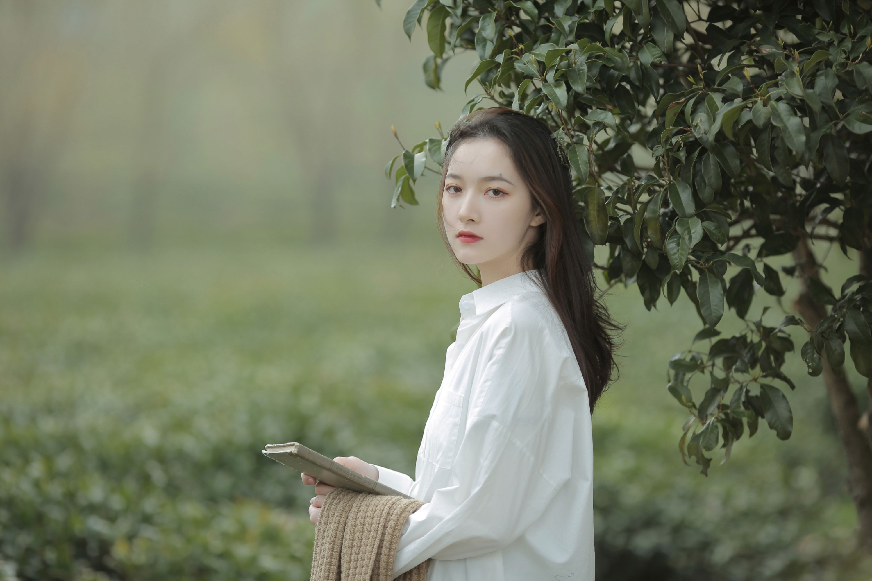《听风雨云窃语》[9P]-66COS