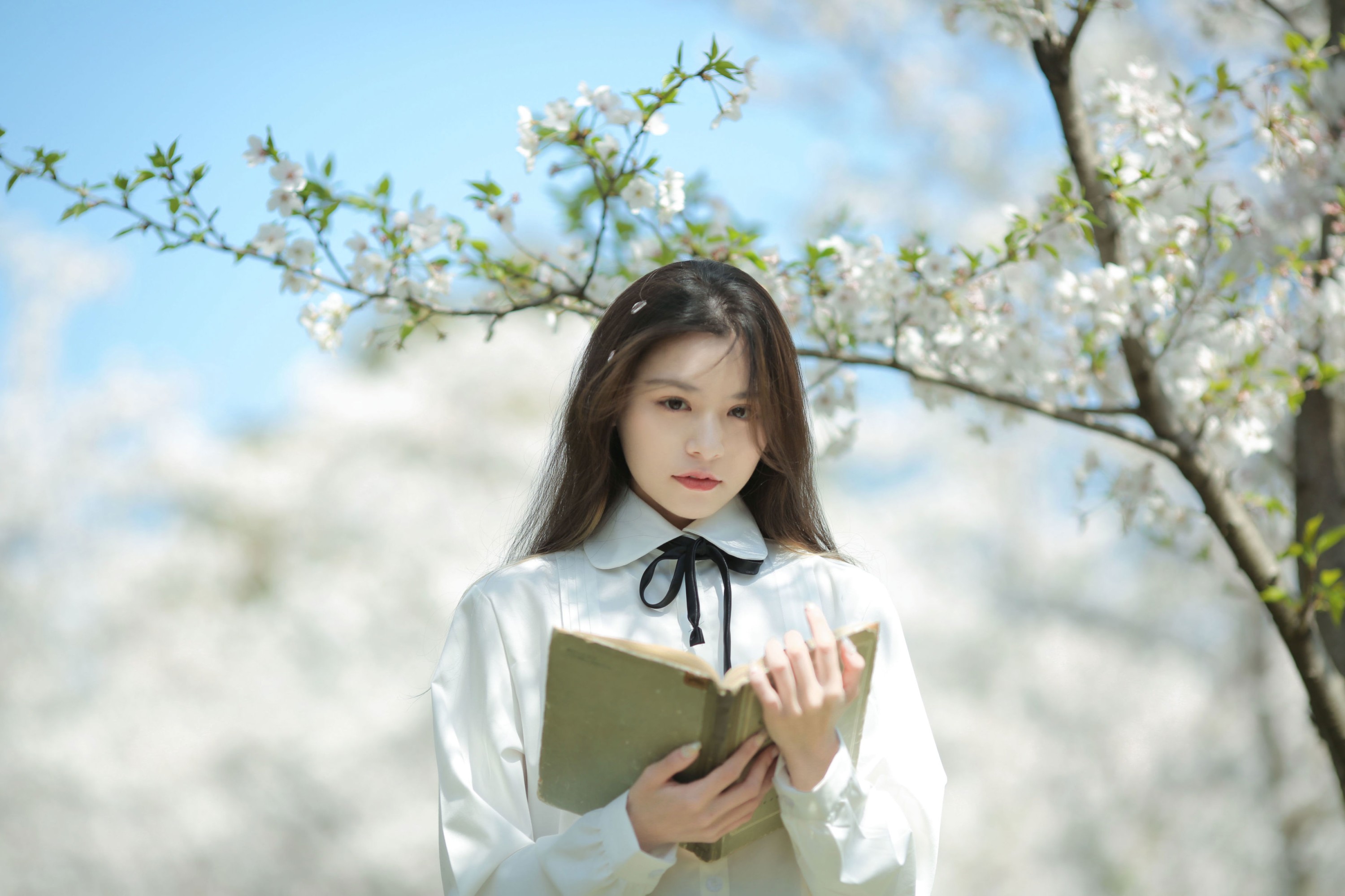 《春观夜樱，夏望繁星》[13P] 插图5