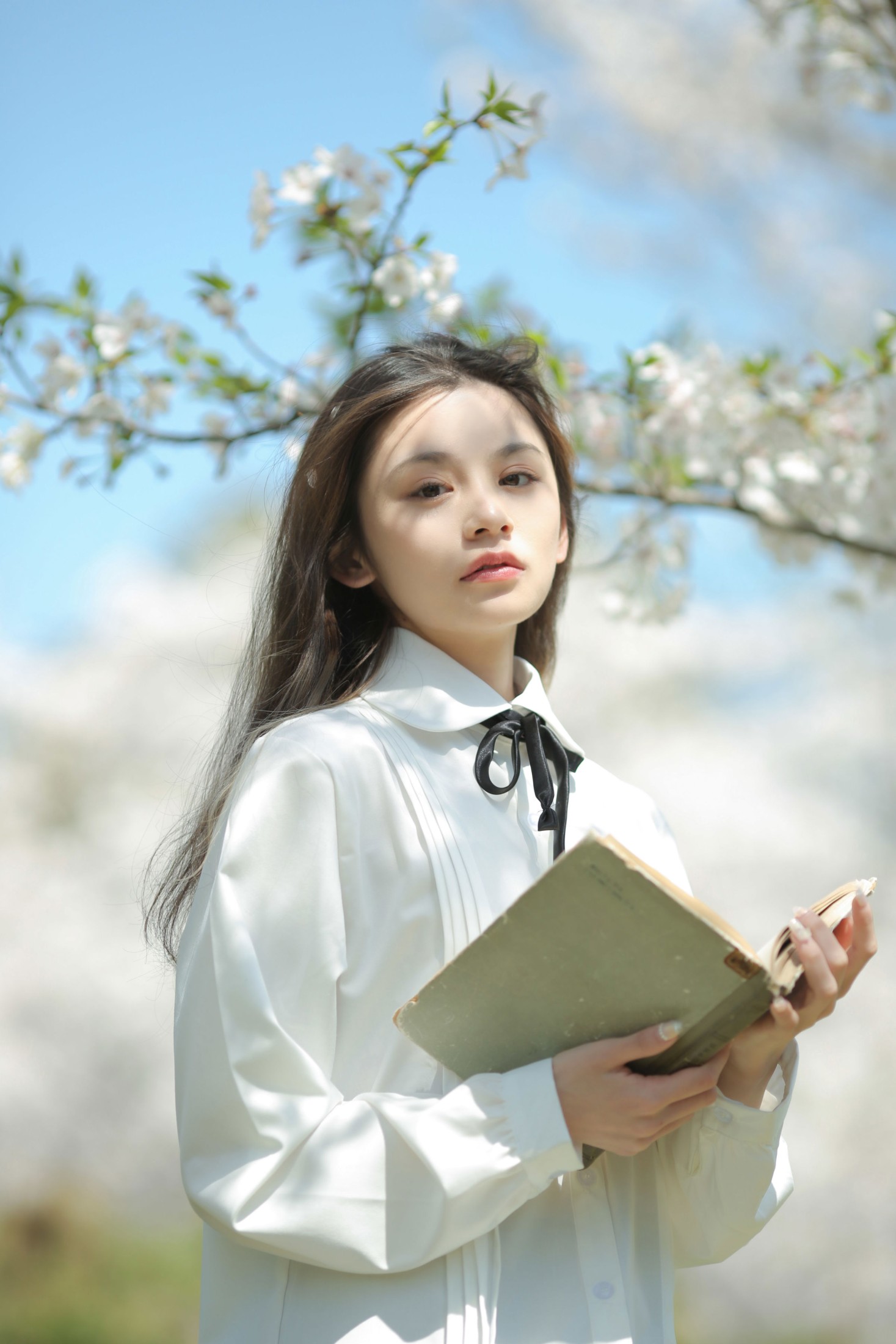 《春观夜樱，夏望繁星》[13P] 插图2